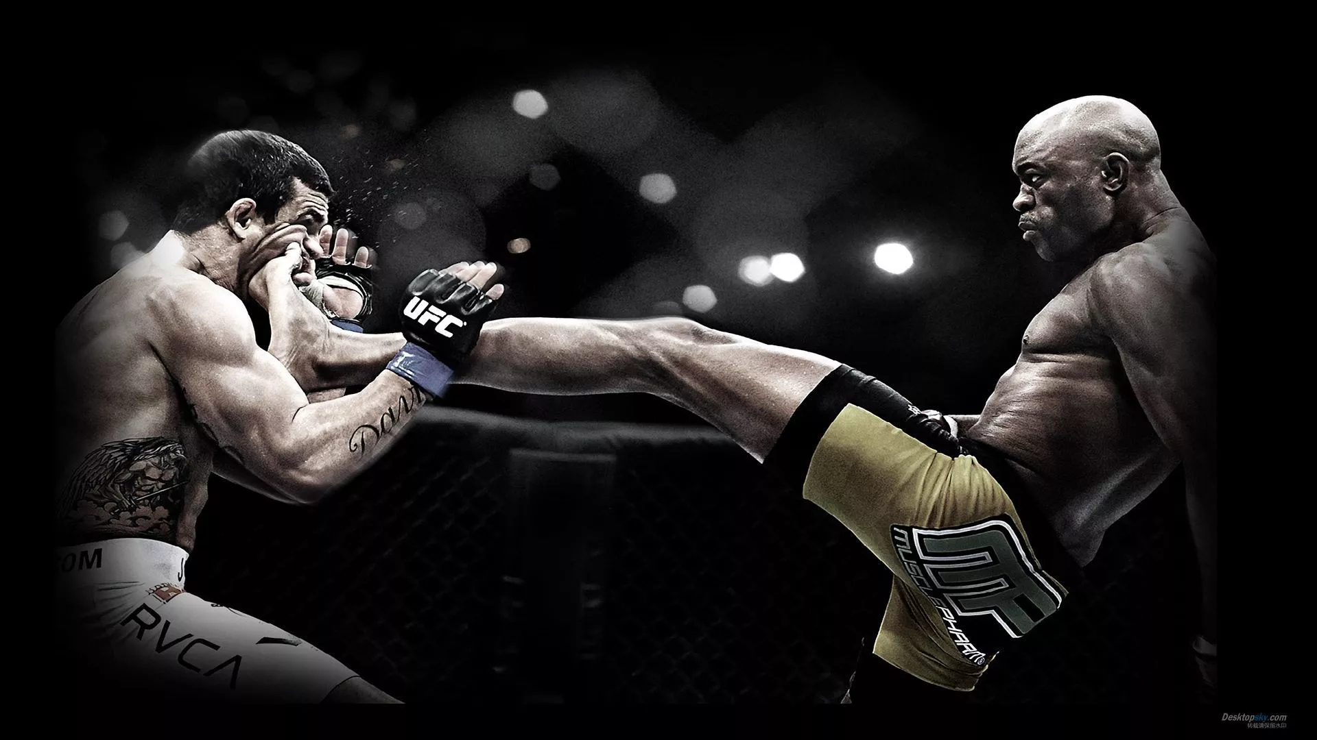 Mixed Martial Arts Wallpaper HD 04403