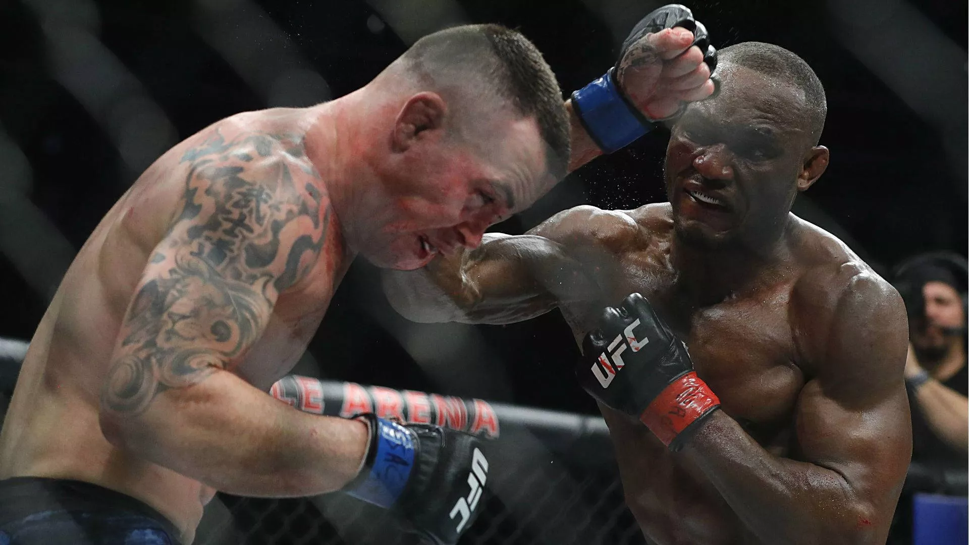 Mixed Martial Arts Wallpaper
