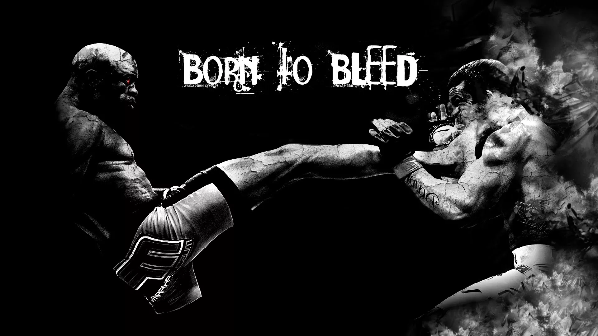 MMA Mixed Martial Arts Sports Image
