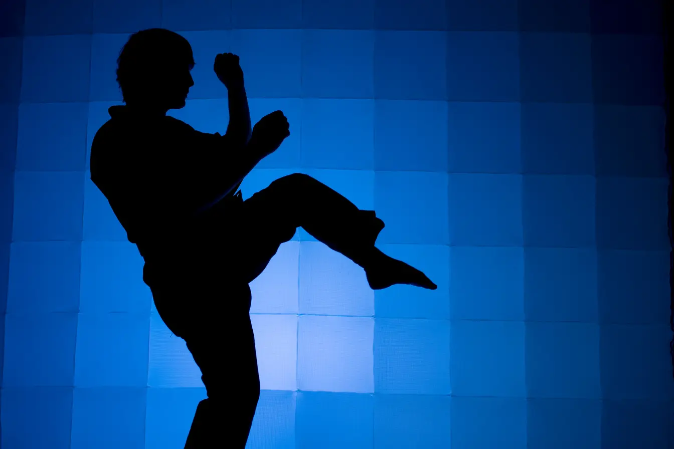Martial Arts in the Modern Era