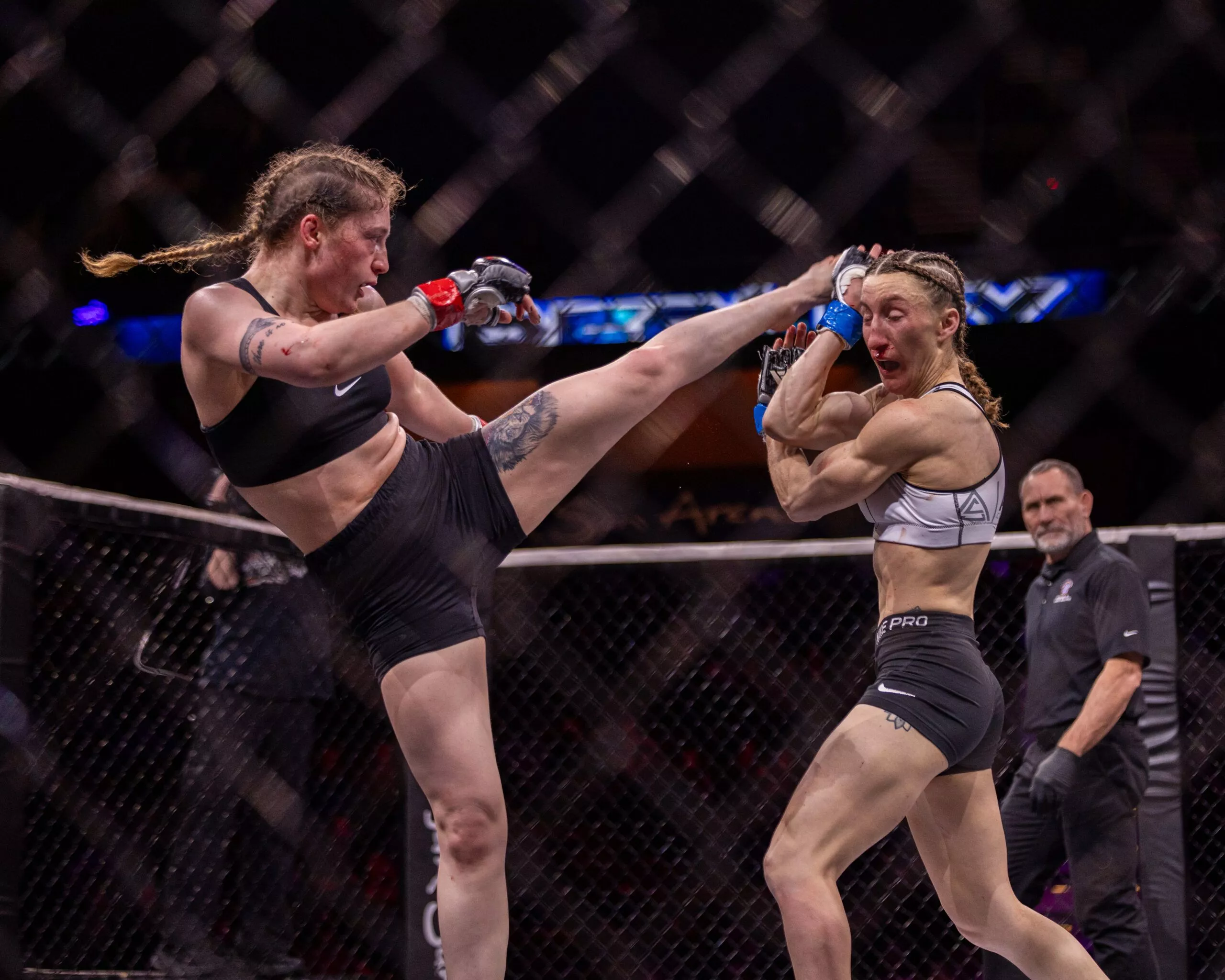 Brazilian Jiu Jitsu Vs Mixed Martial