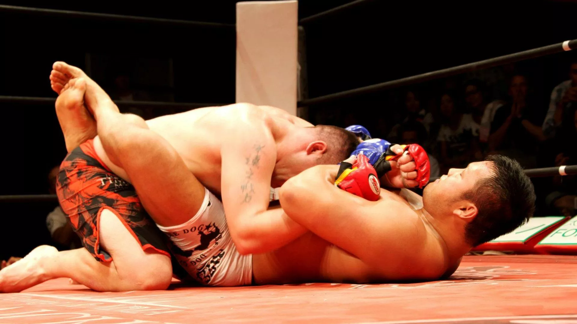 Mixed Martial Arts Sports HD Wallpaper