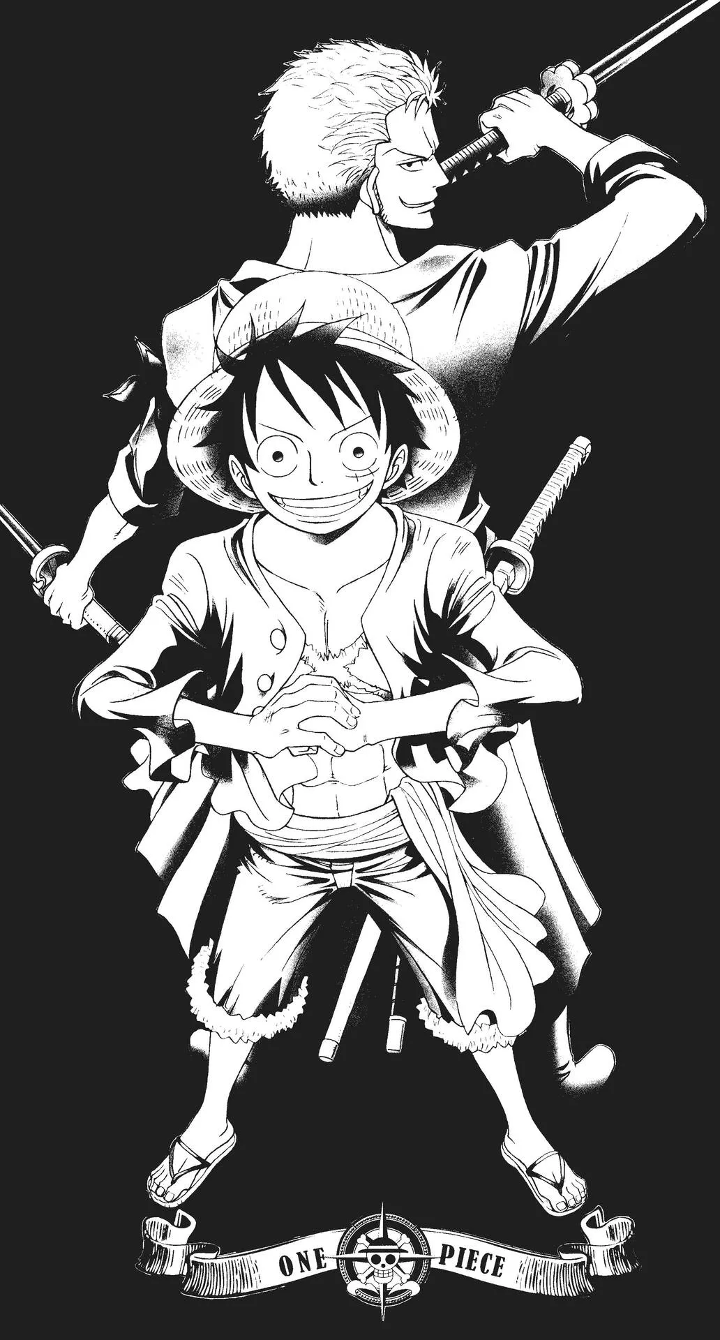 Download Black And White Luffy And Zoro HD Wallpaper