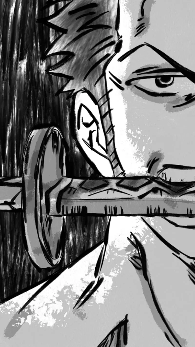 Zoro, luffy, one piece, sword, HD phone