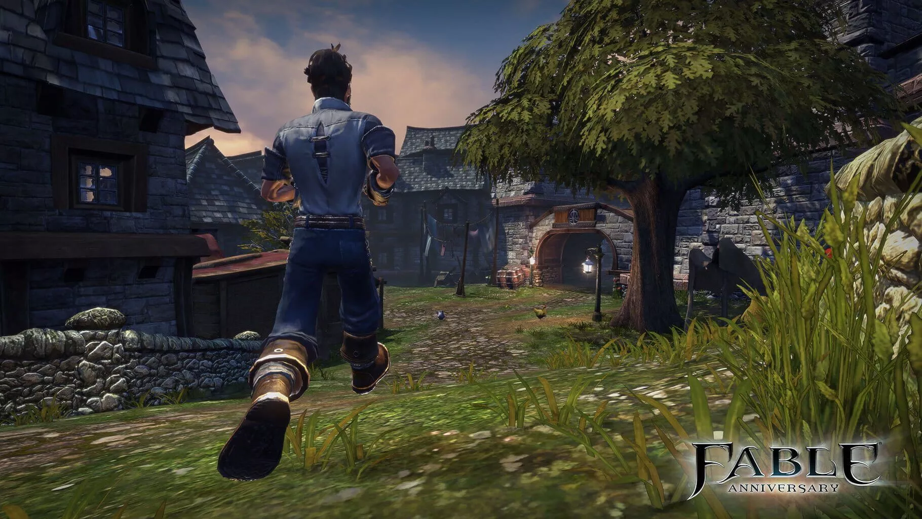 Fable Anniversary Controller Support