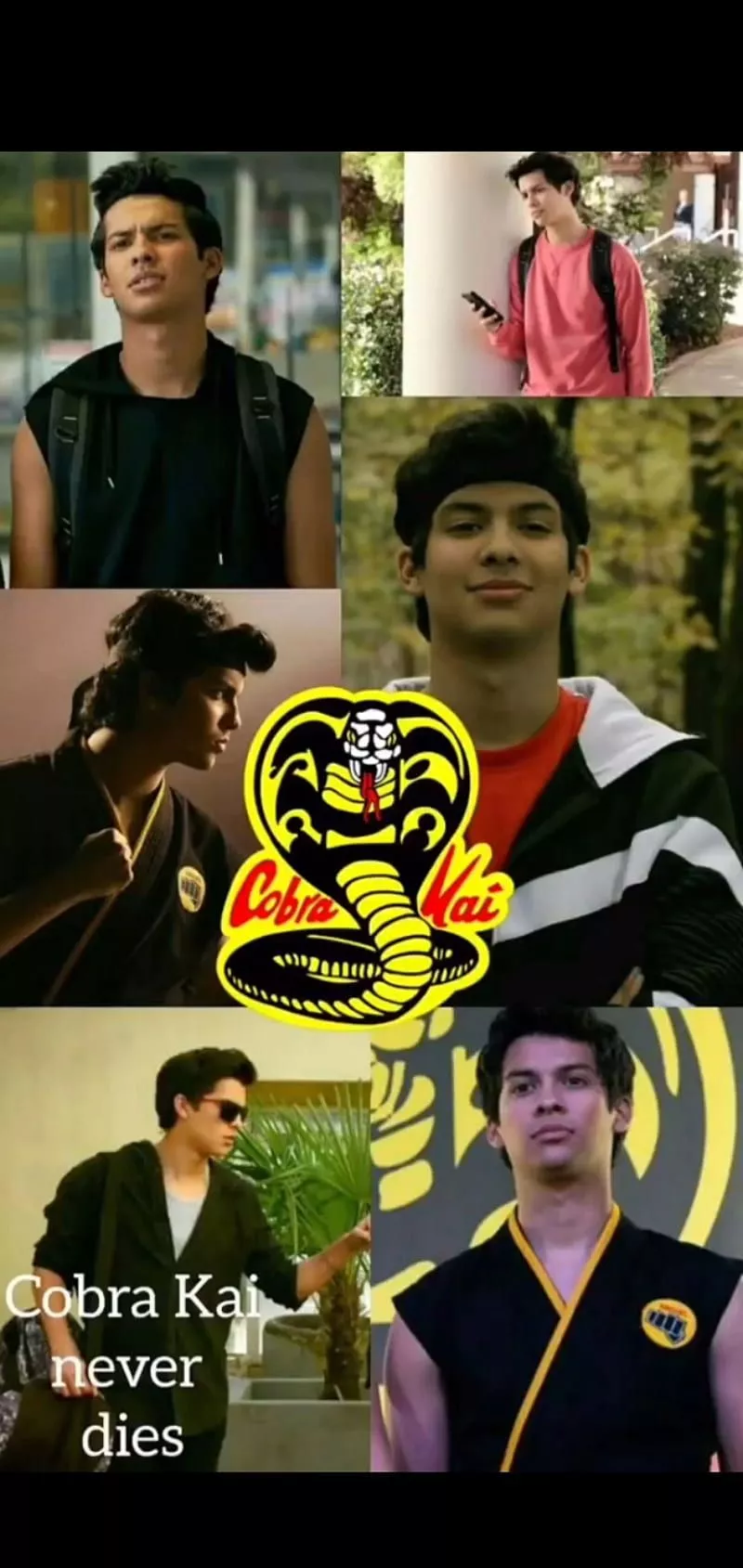 Miguel CK, cobra kai, HD phone