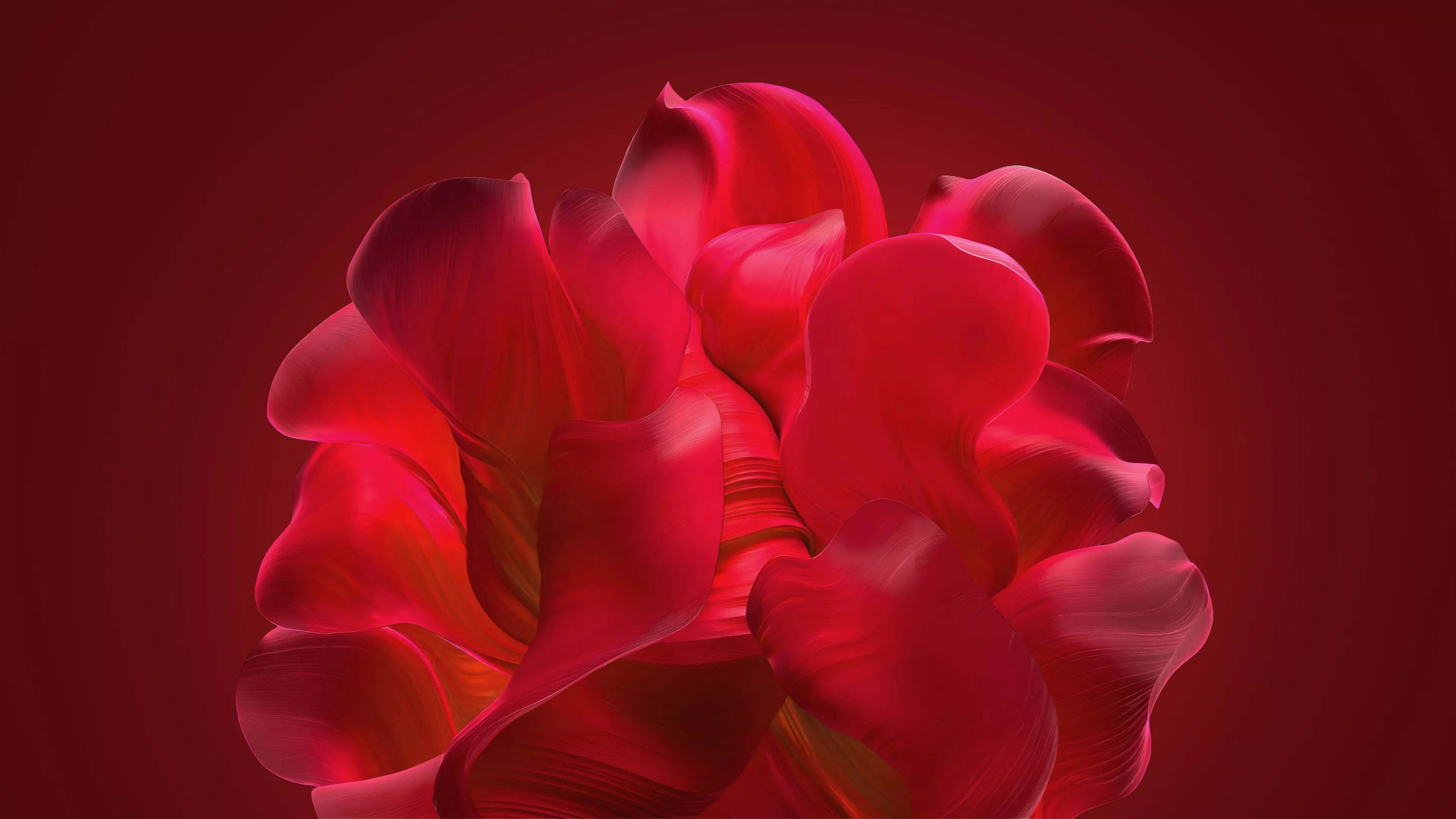 Windows 11 Red Abstract Bloom