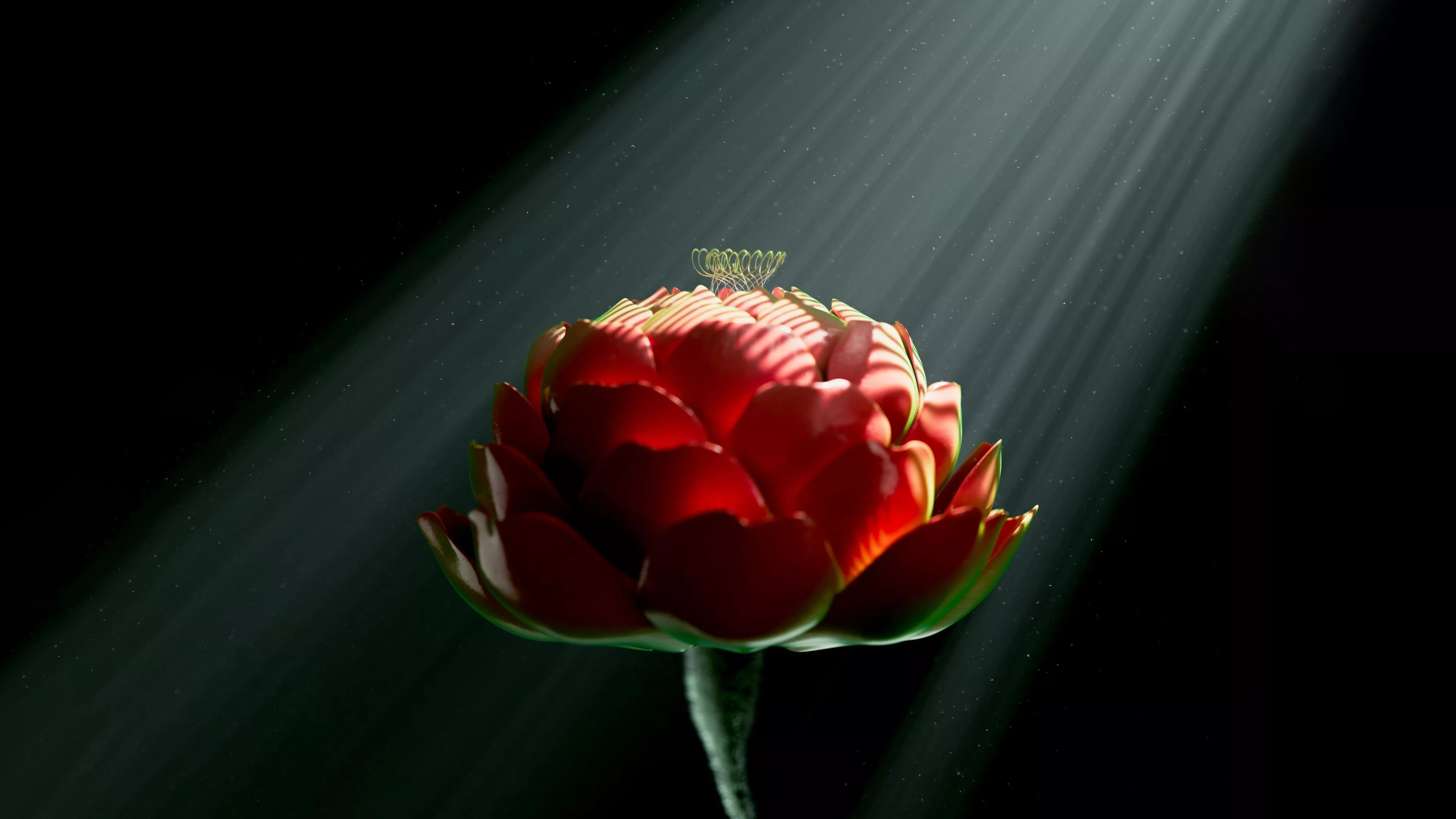 Red flower Wallpaper 4K, Digital Art