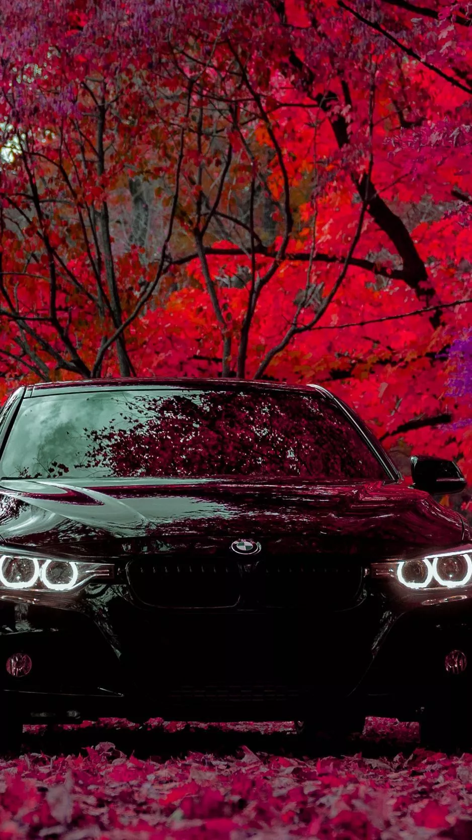 Download wallpaper 938x1668 bmw f30