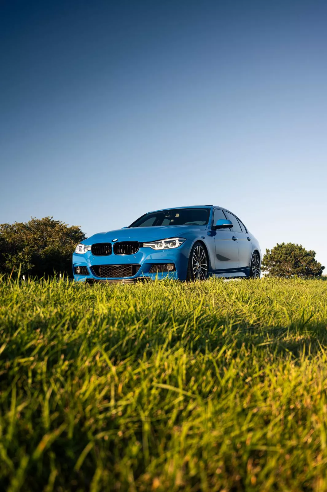 Enzian Blue 340i Photohoot 3