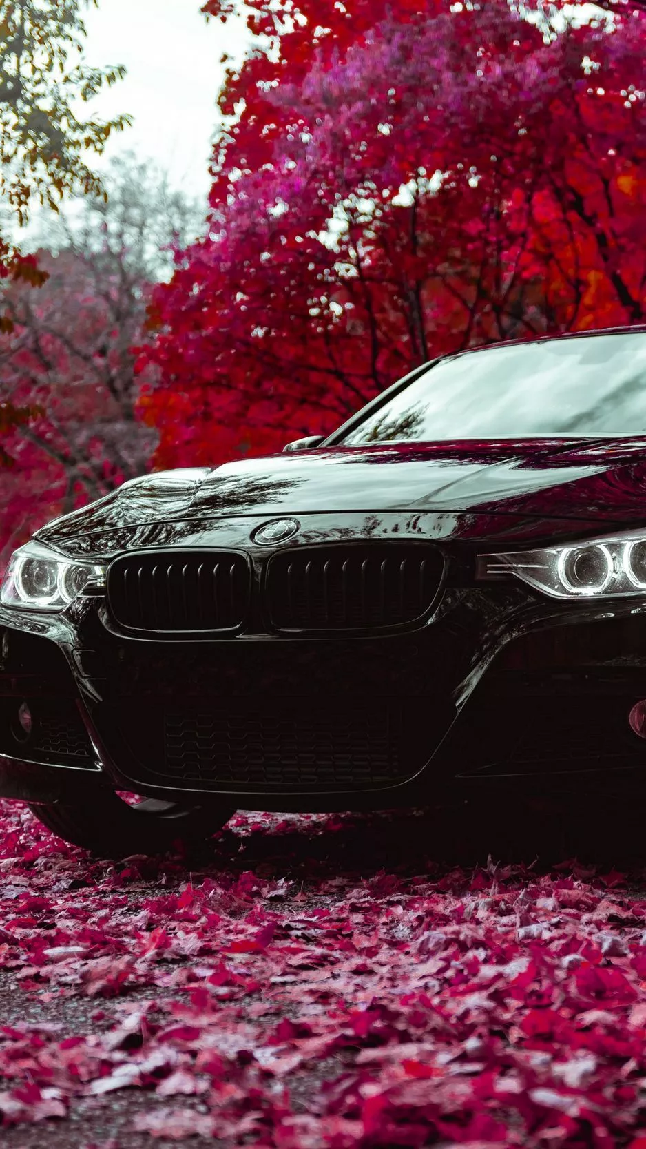 Download wallpaper 938x1668 bmw f30