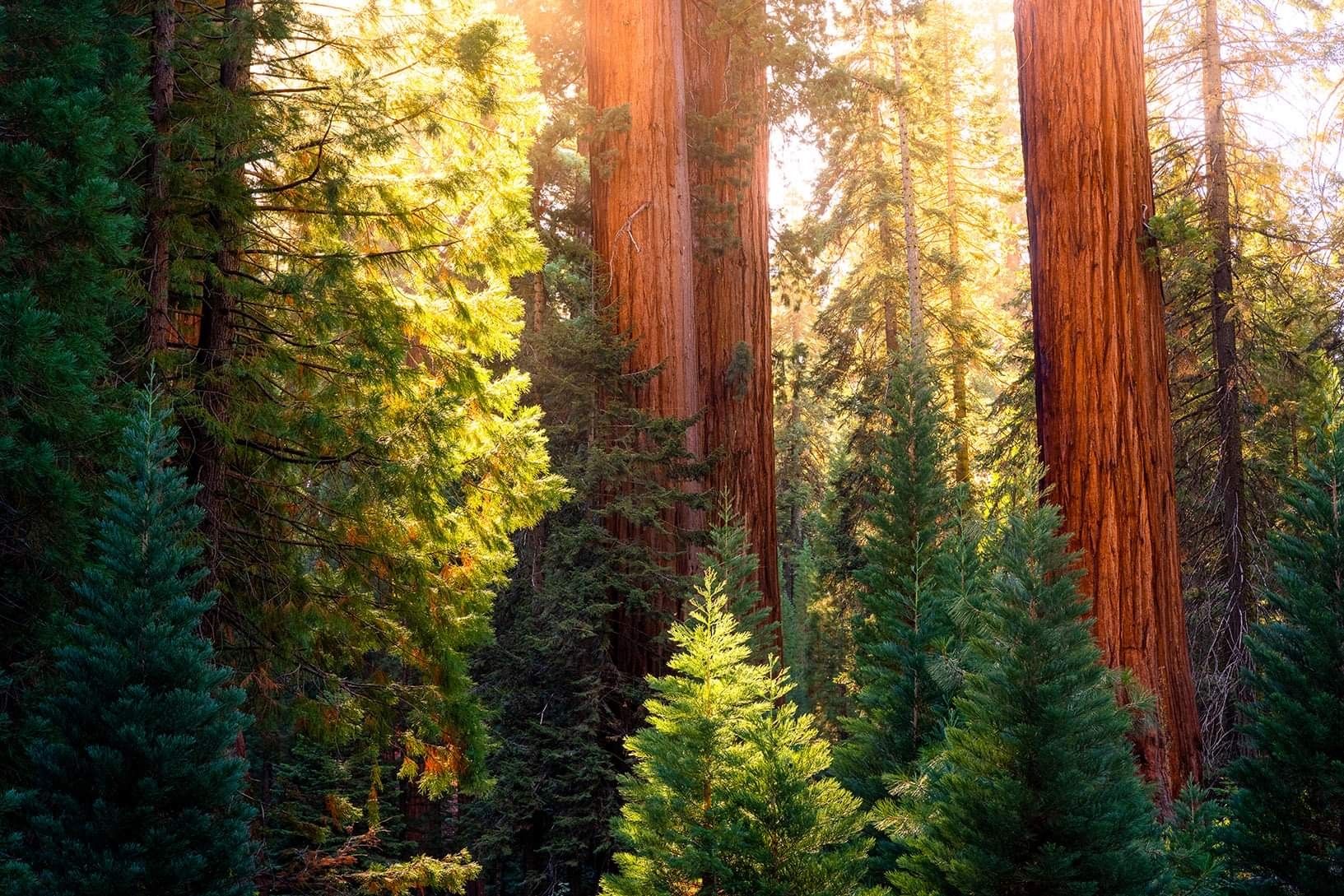 Photo (U.S. National Park Service)