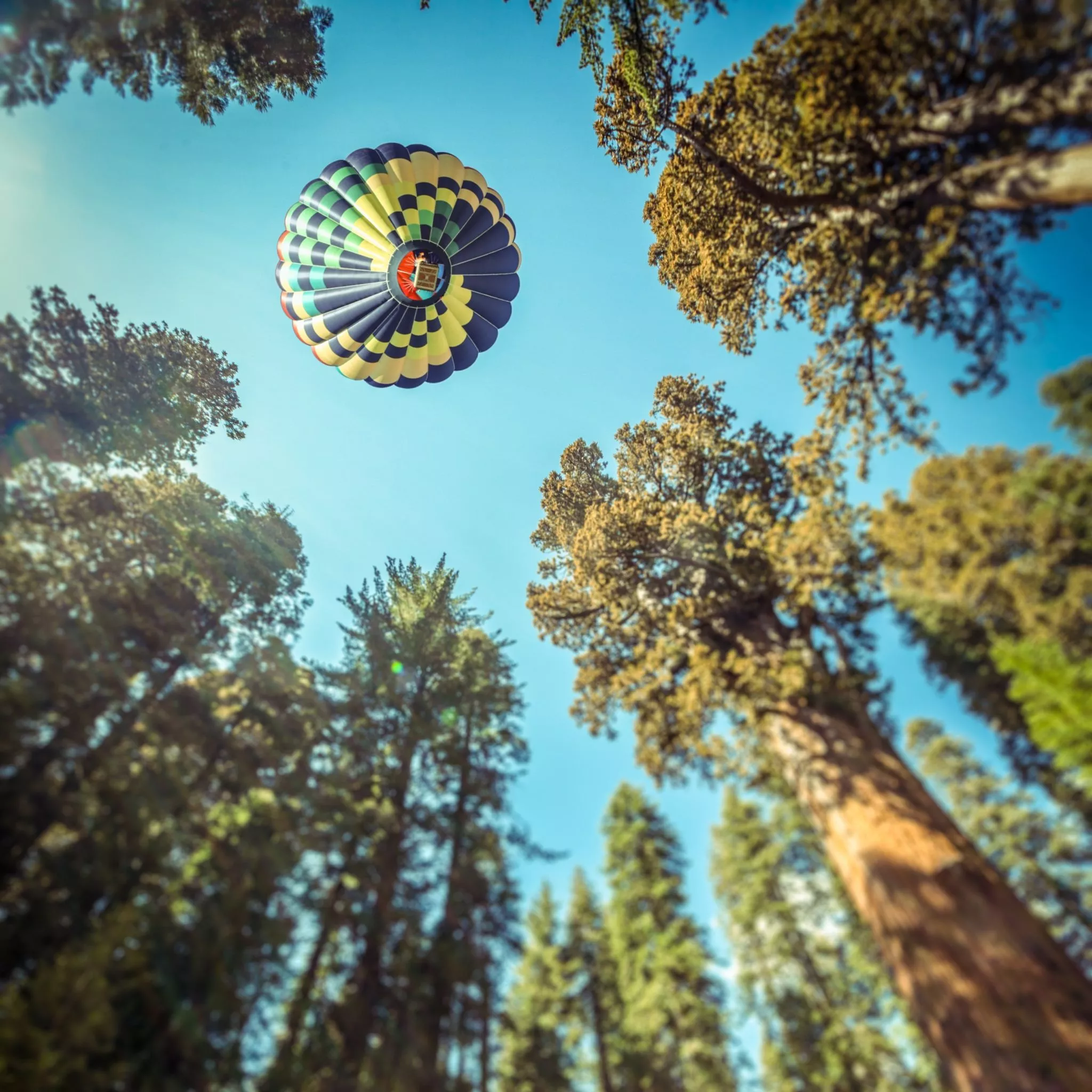 Hot air balloon Wallpaper 4K, Sequoia