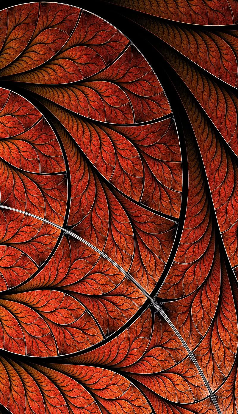 Autumn, JFishburn, abstract, abstract