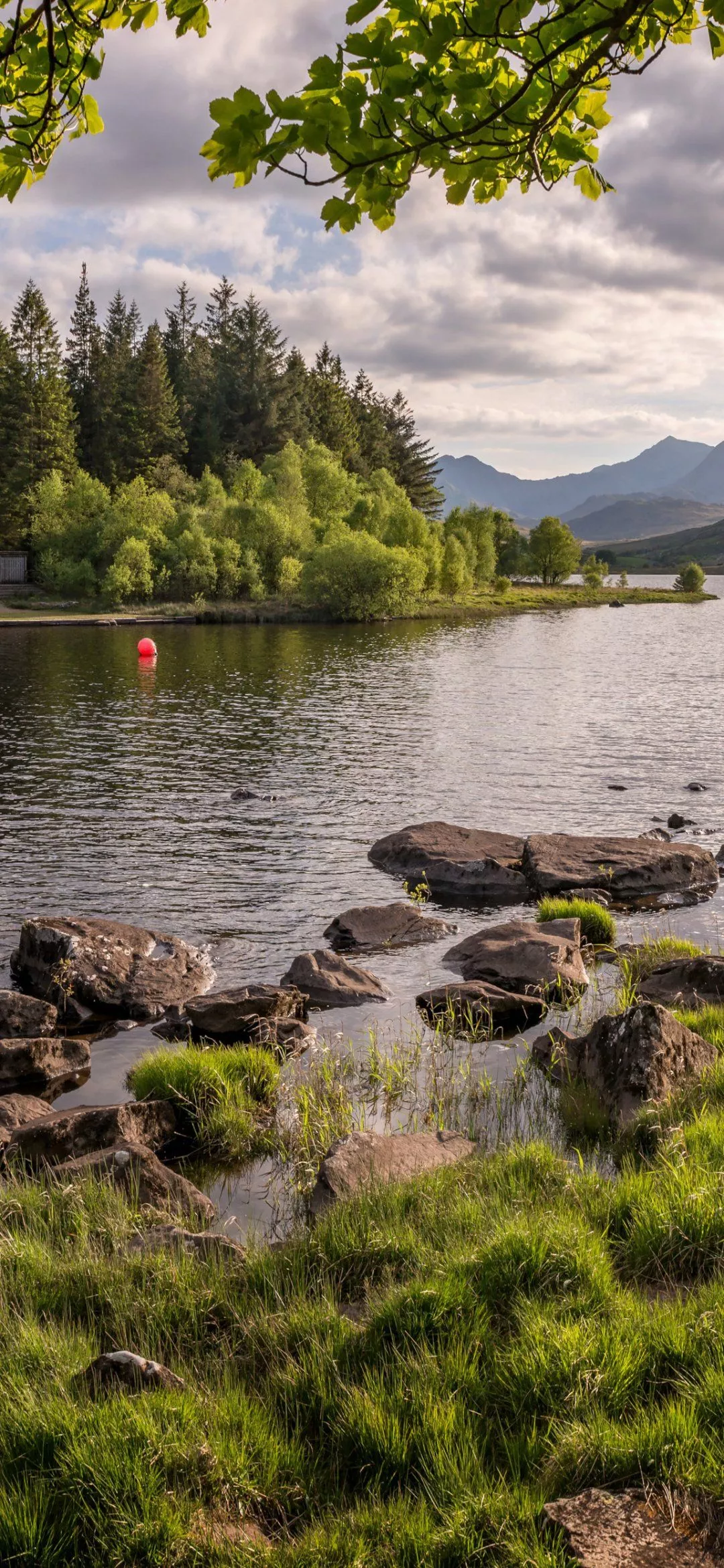 Download Nature River Phone Wallpaper