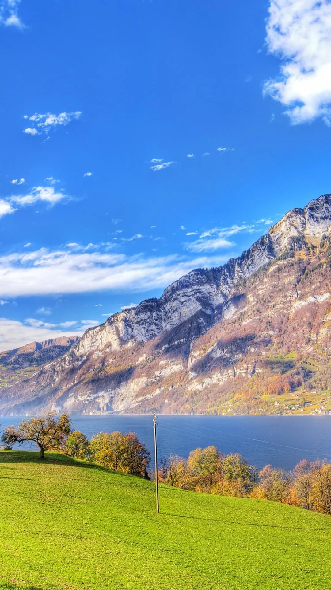 Download Nature River Phone Wallpaper