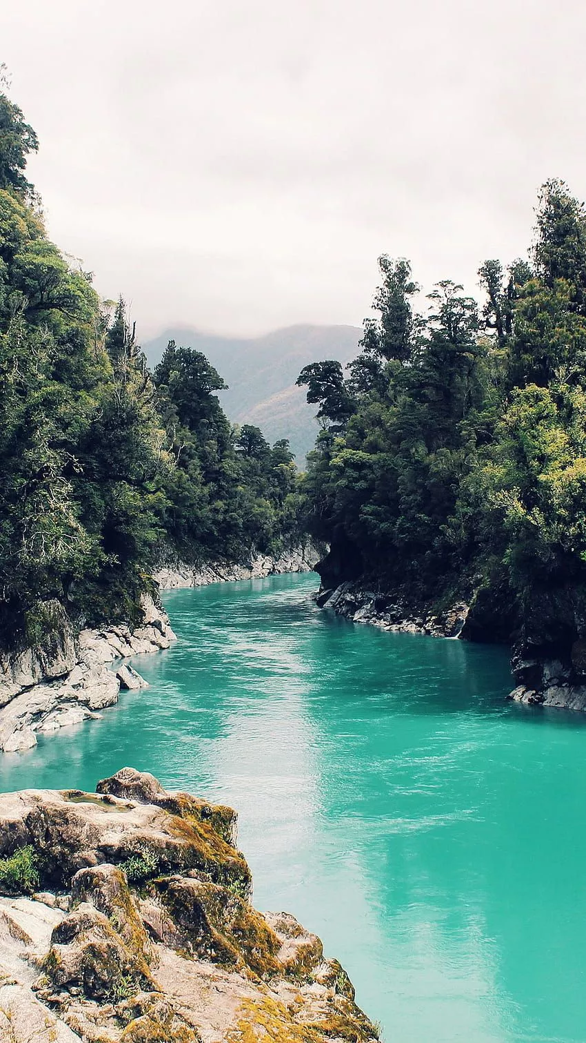 River iPhone, nature summer iphone HD