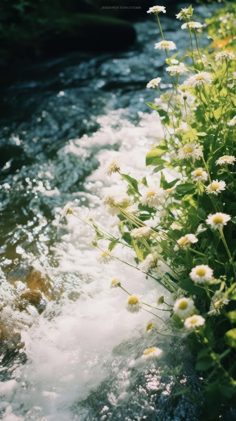 Summer iPhone Wallpaper. High