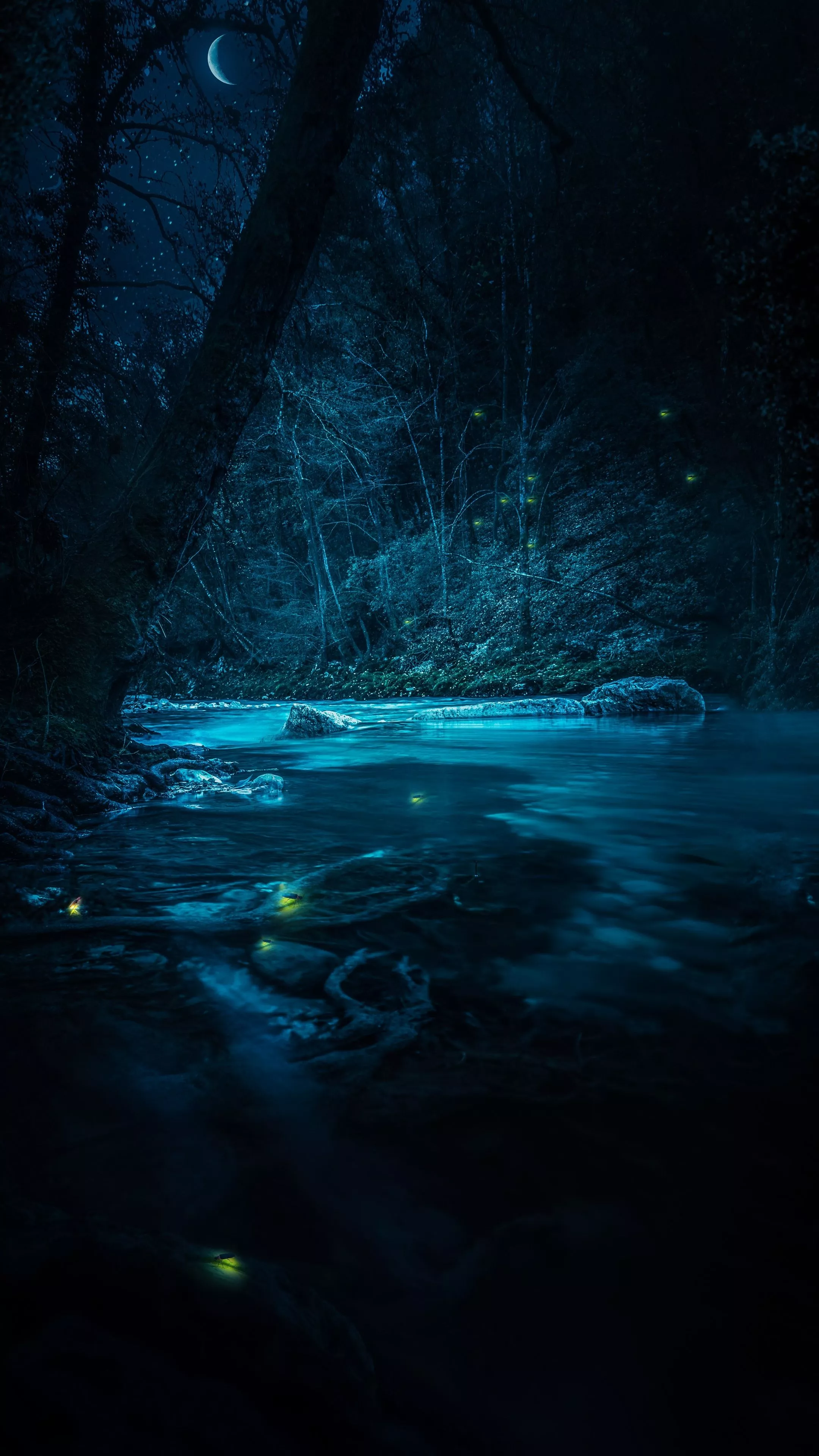 Forest Wallpaper 4K, River, Night, Dark