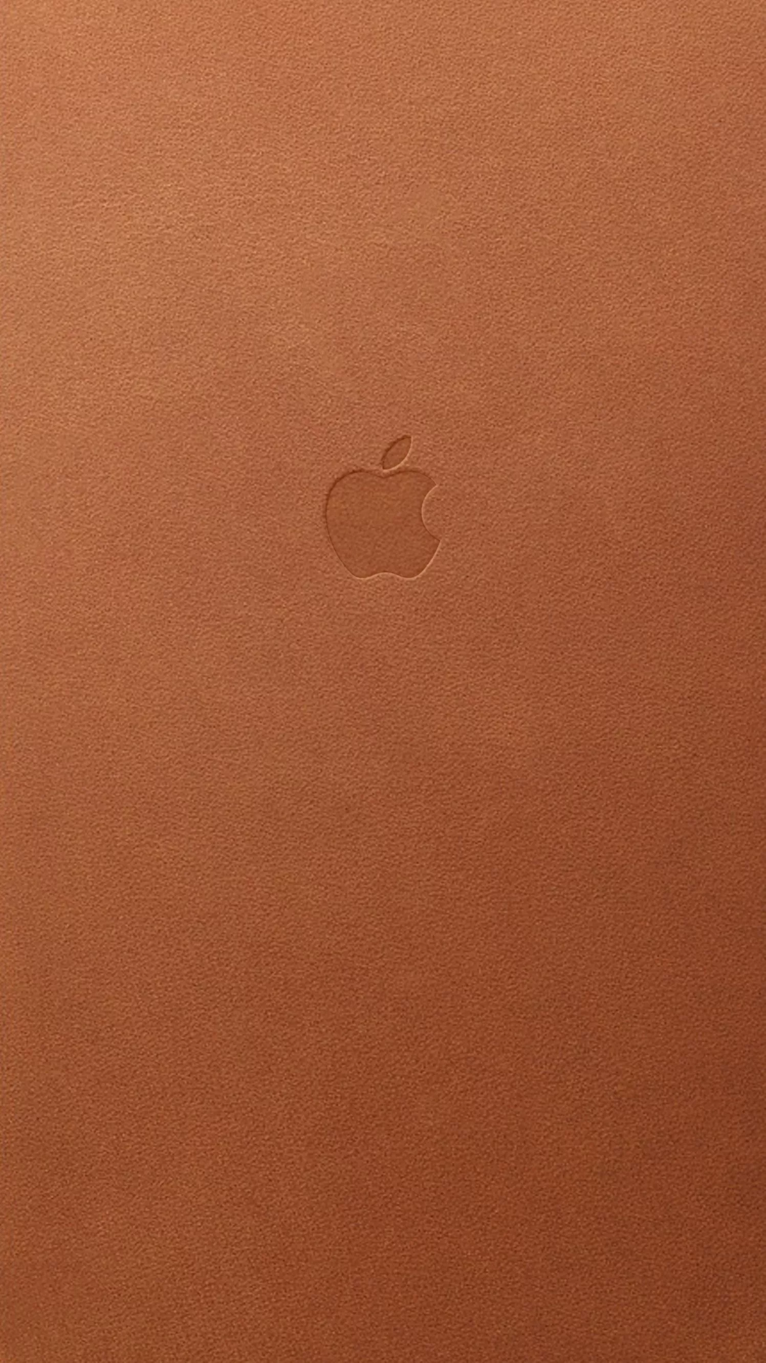 Apple leather case