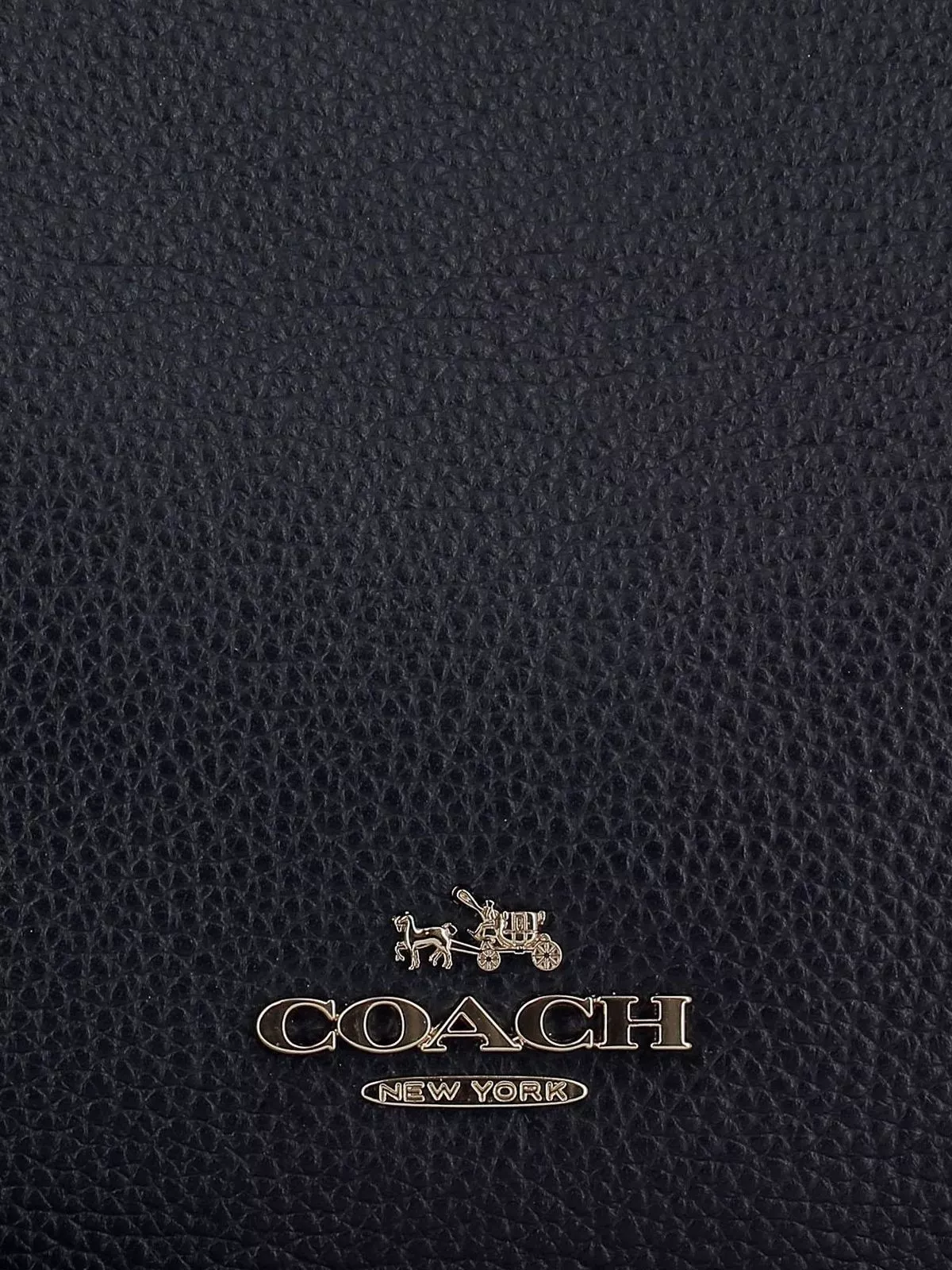 Luxury Coach Logo Black Leather