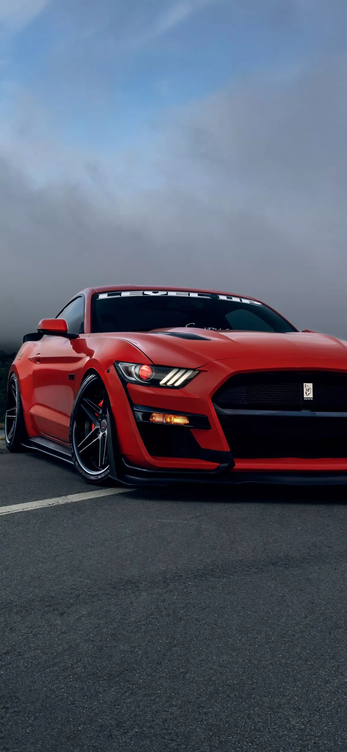 Ford Mustang GT Wallpaper 4K, Sports