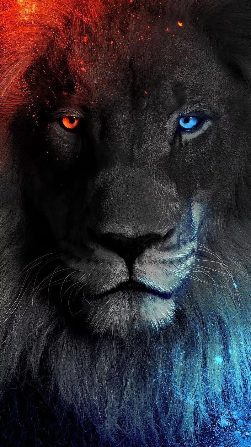 King, red, face, blue, colorful eyes