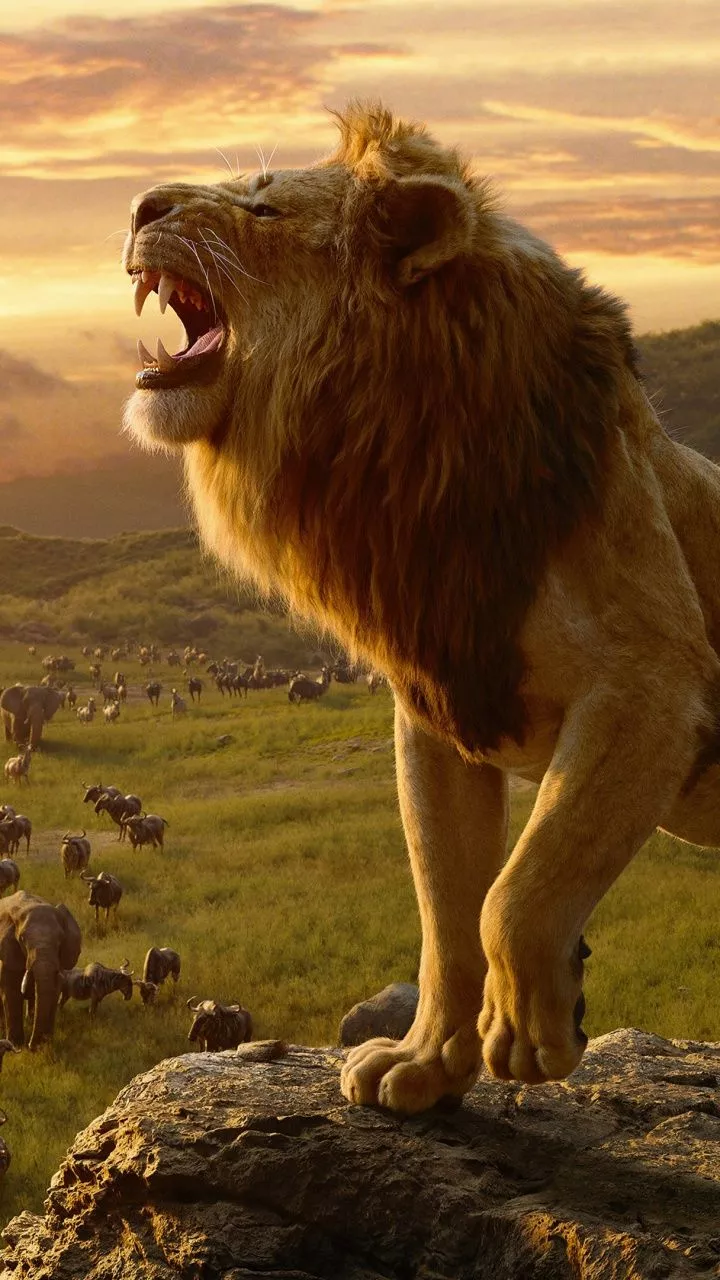 The Lion King 2019 Ultra HD Wallpaper