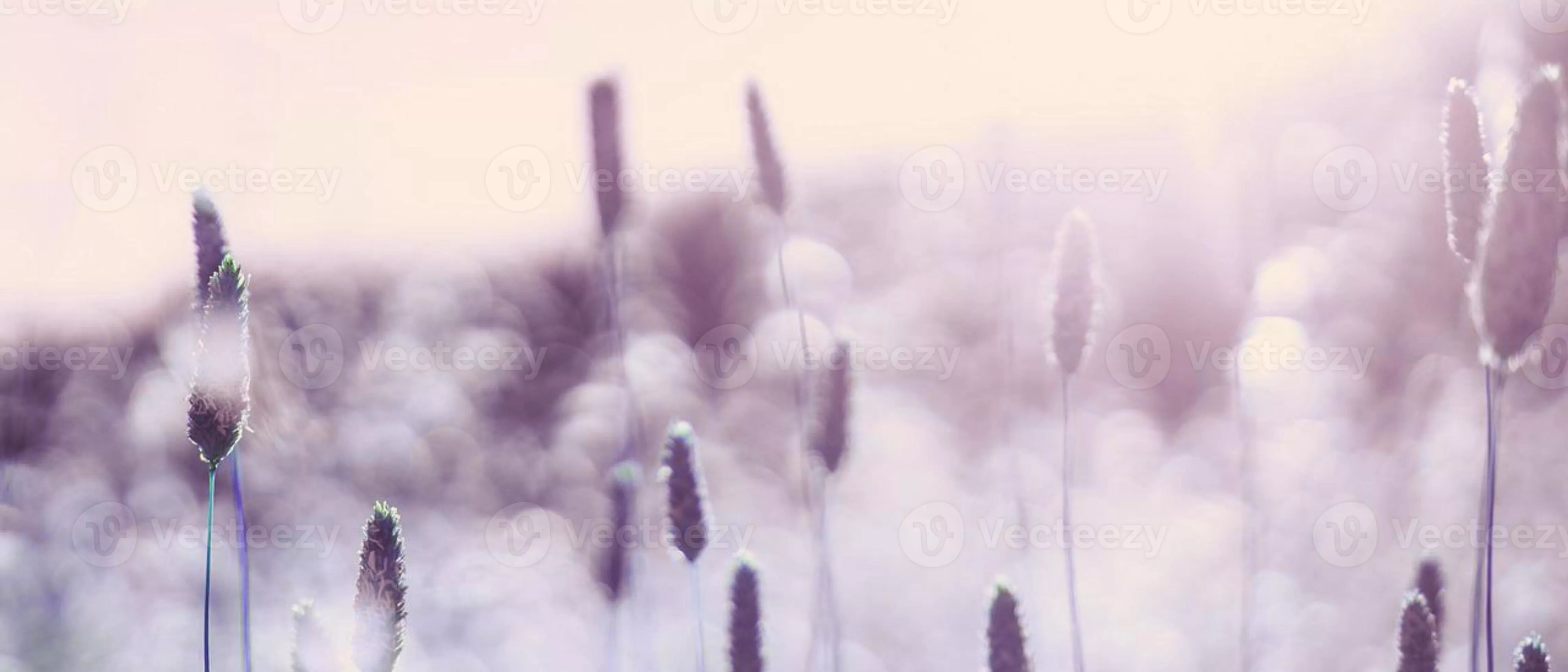 4k HD wallpaper for computer desktop