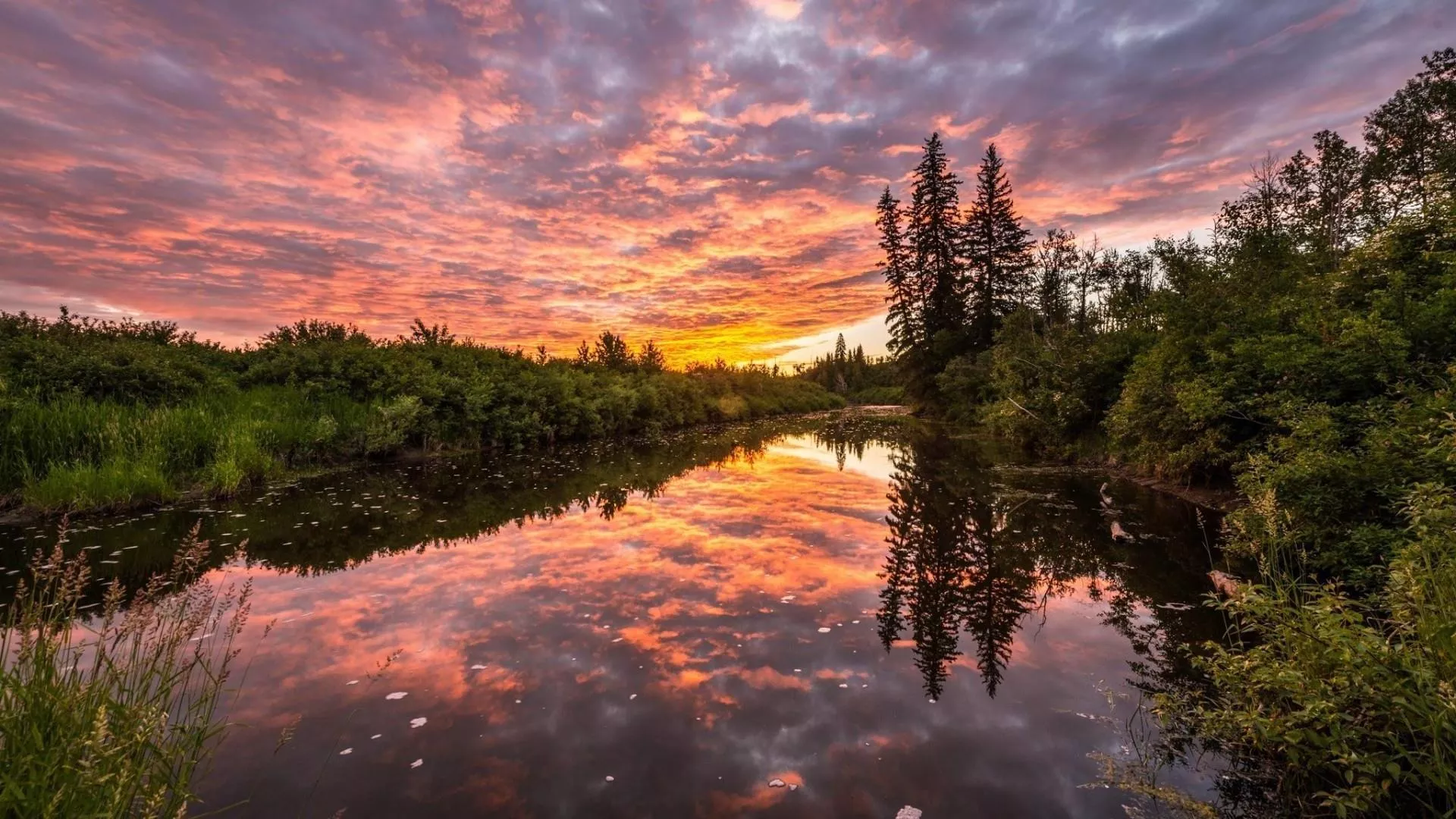 American Landscape Wallpaper APK