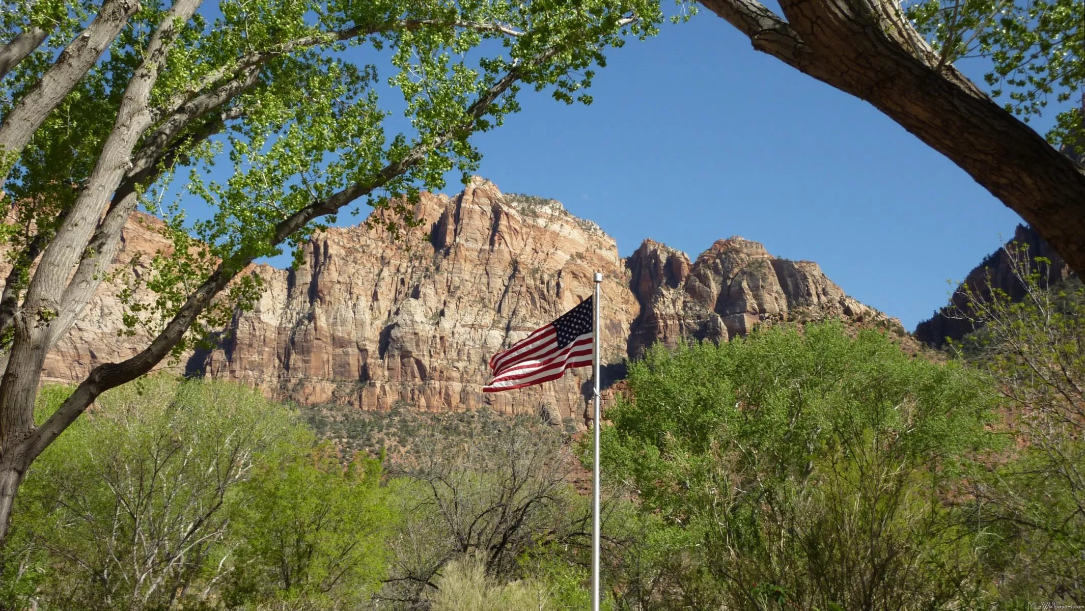 American Flag in Zion National Park II