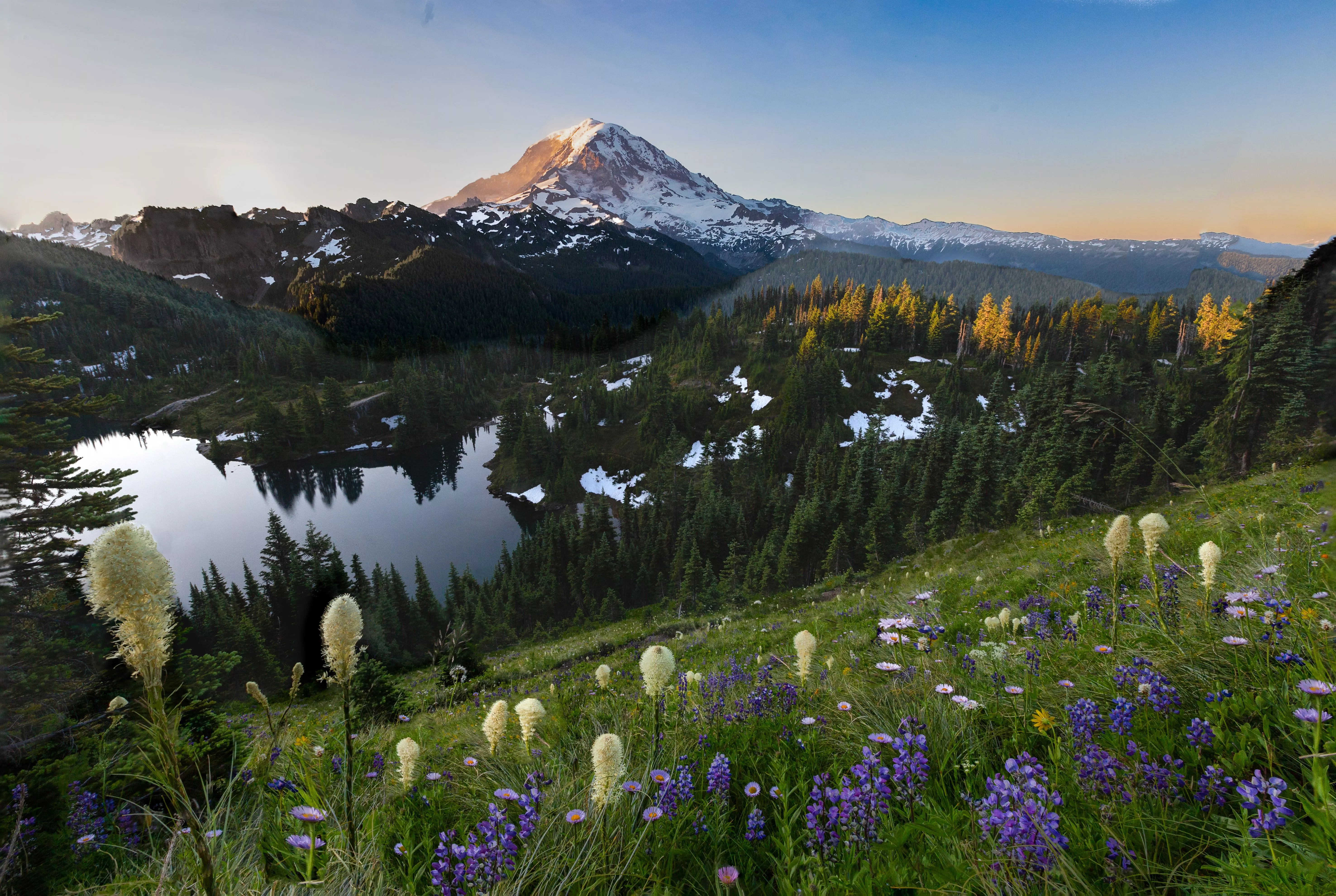 Download Mount Rainier USA Nature