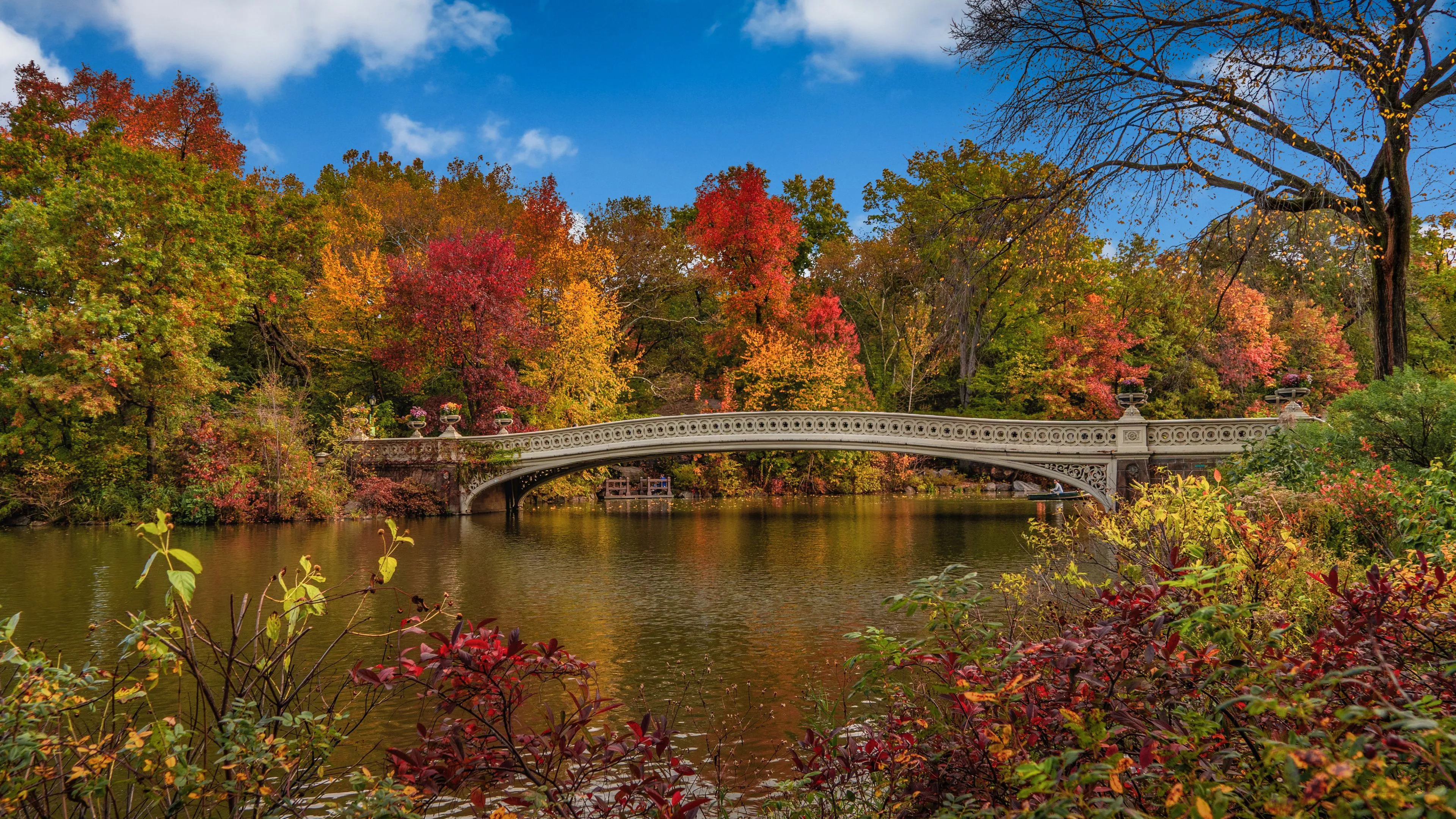 New York USA Central Park Bridge Under