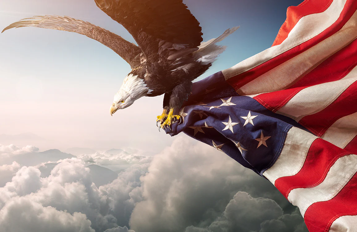 Majestic Eagle American Flag Mural Wallpaper
