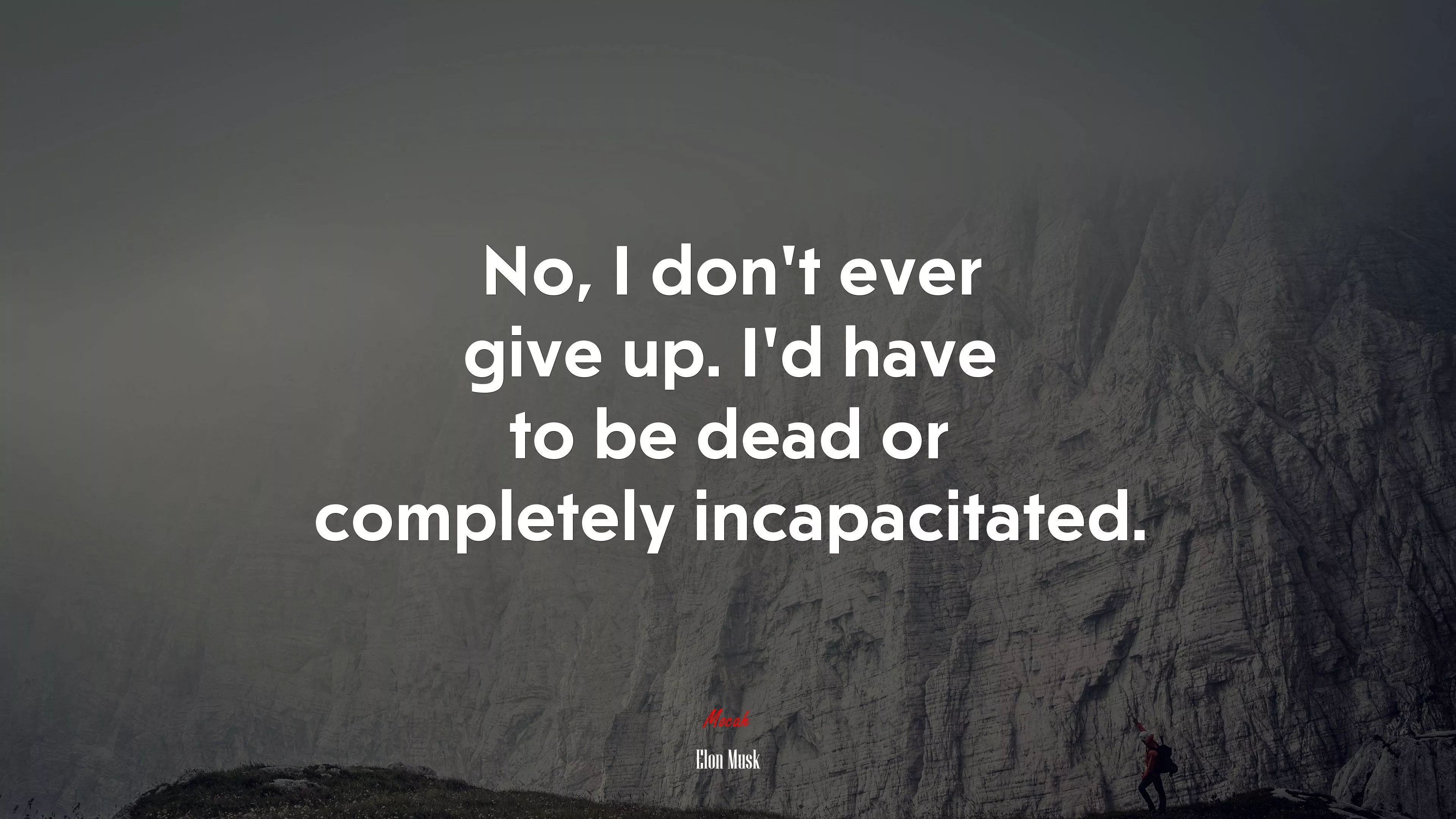 Elon Musk quote, HD Wallpaper