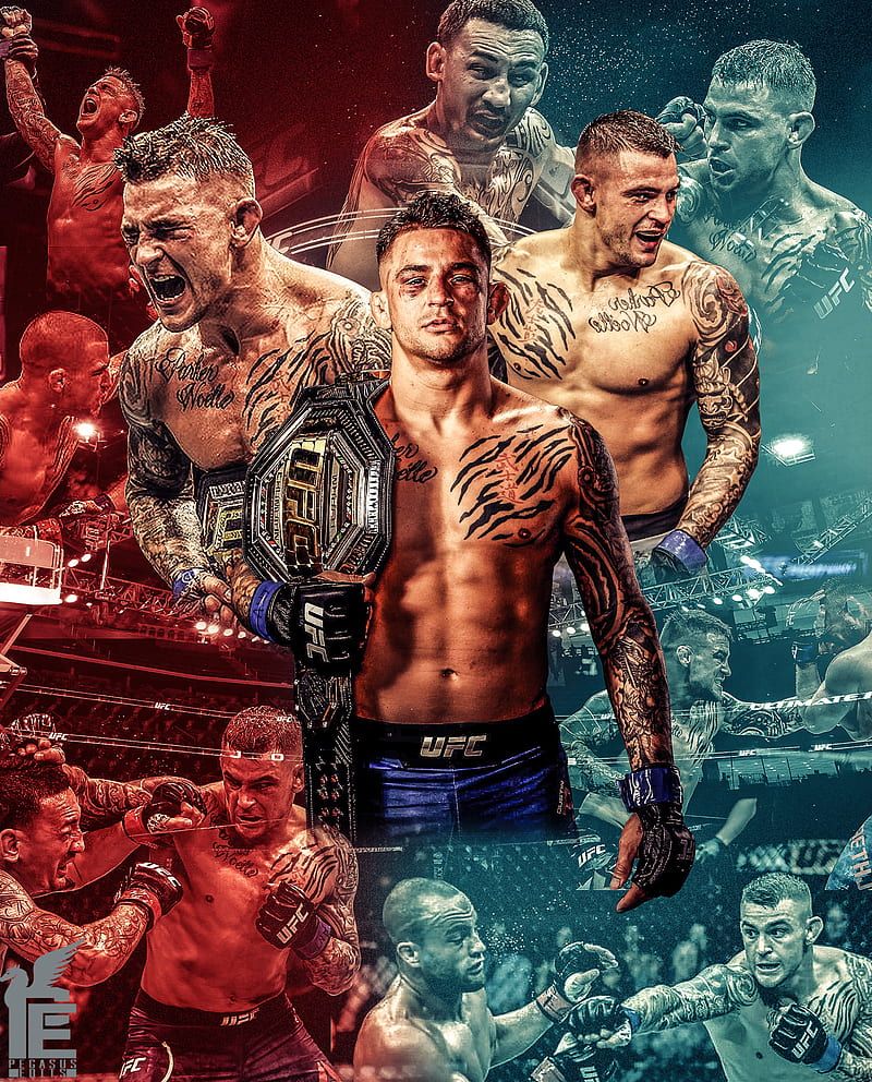 Dustin Poirier, mma, ufc, HD phone