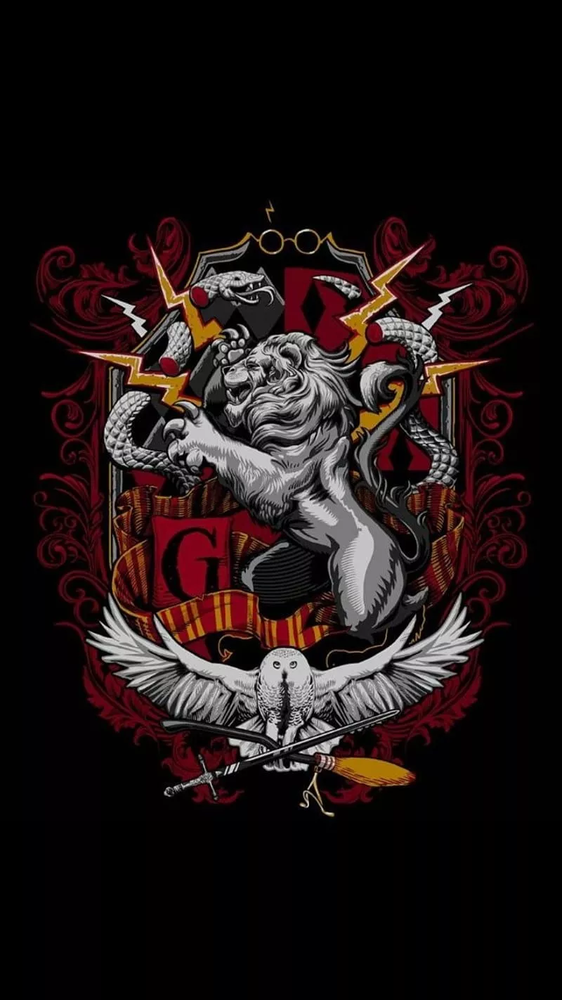 Harry Potter, Harry Potter