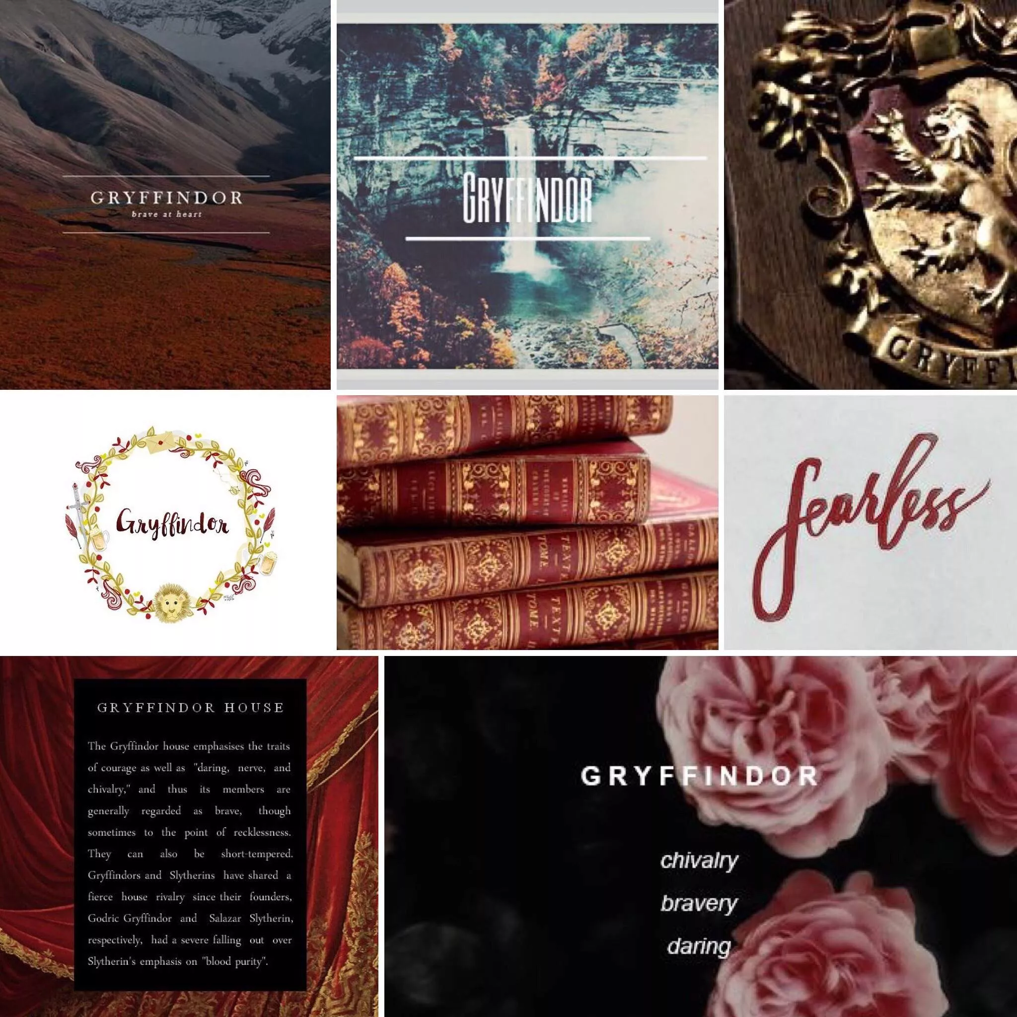 Gryffindor aesthetic part 2. Harry