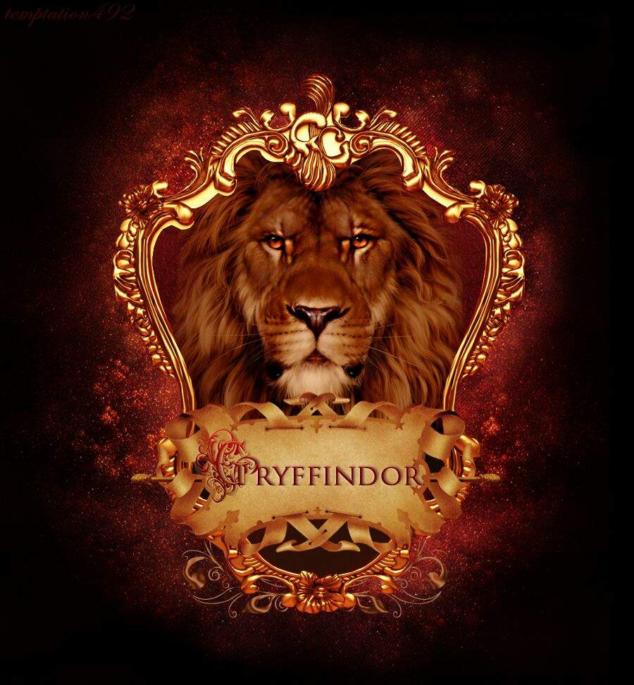 A True Gryffindor. Harry Potter Amino