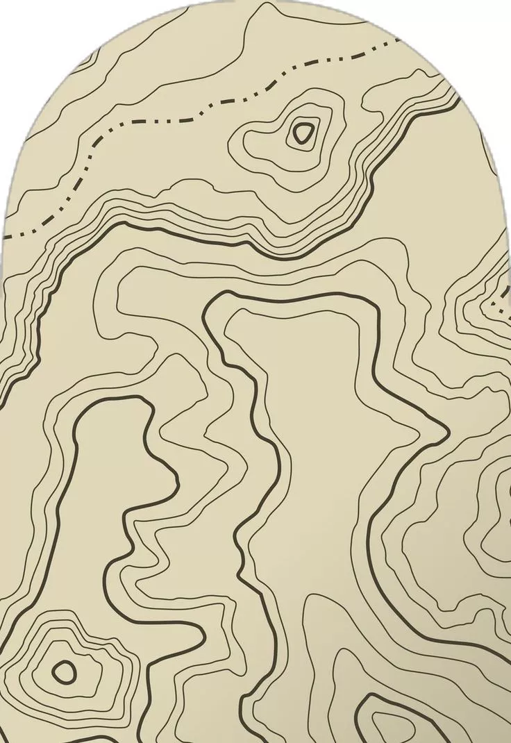 Topographical Map Wallpaper