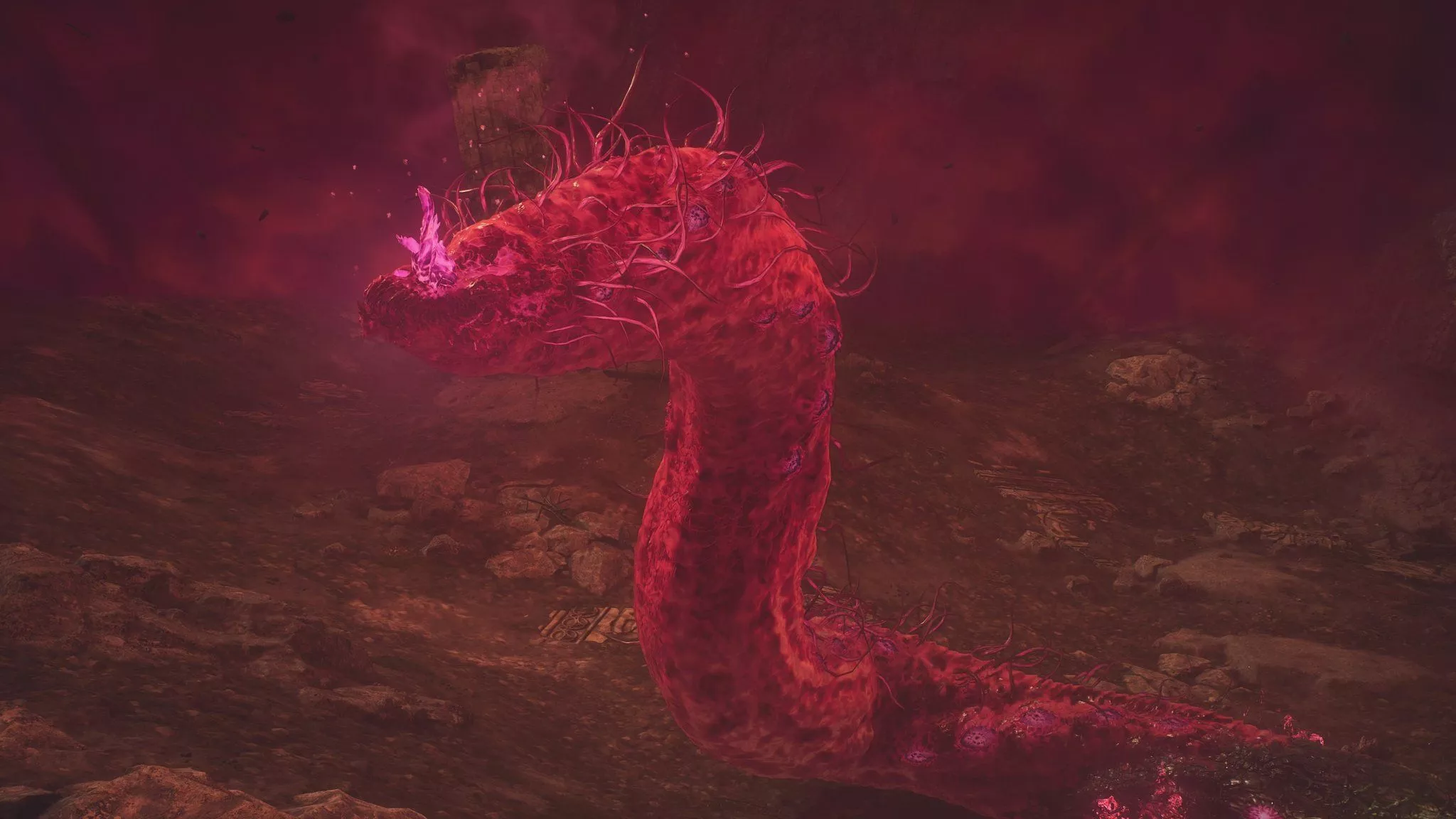 Bryna Dark Souls of VP على X