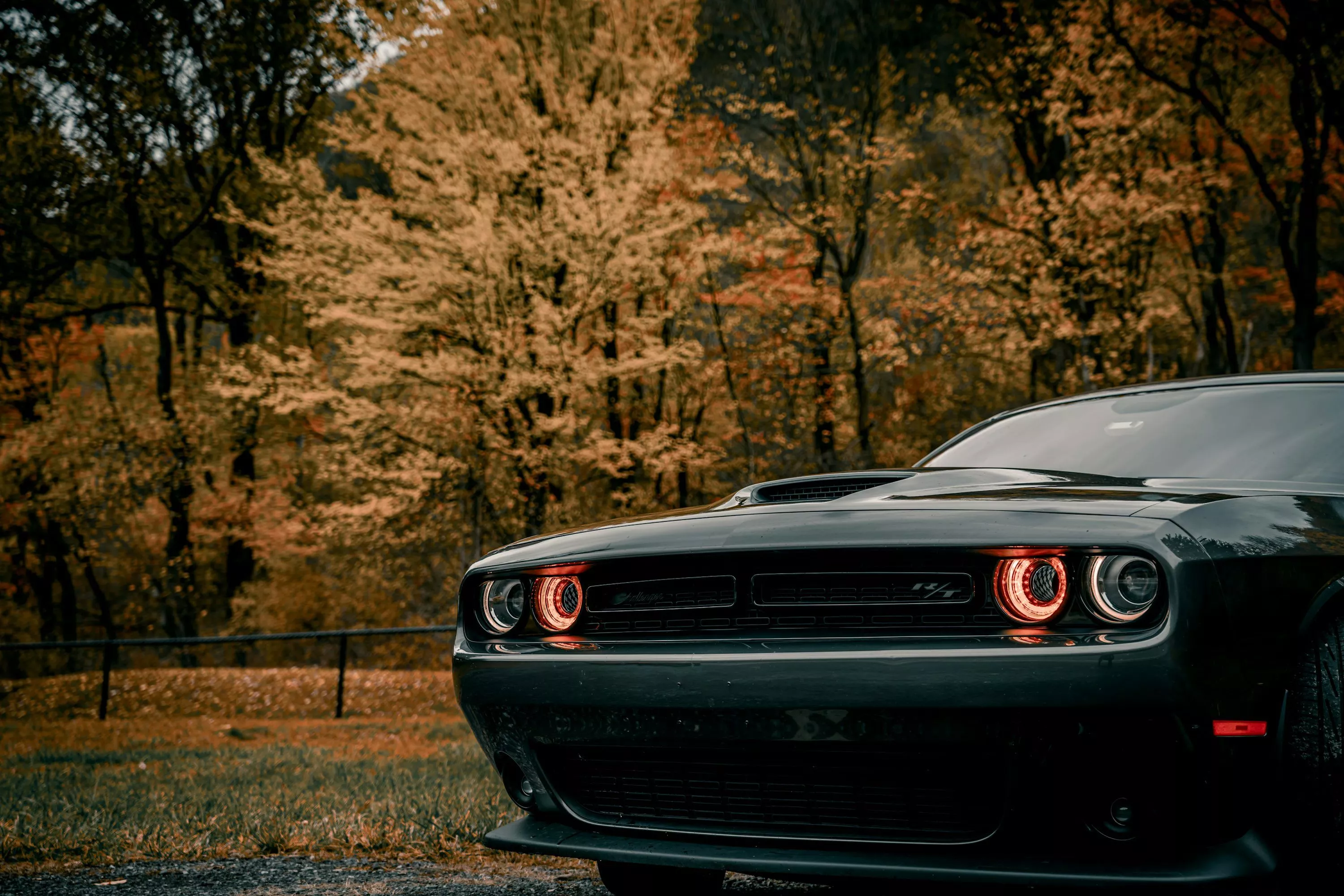 Dodge Challenger Hellcat Picture