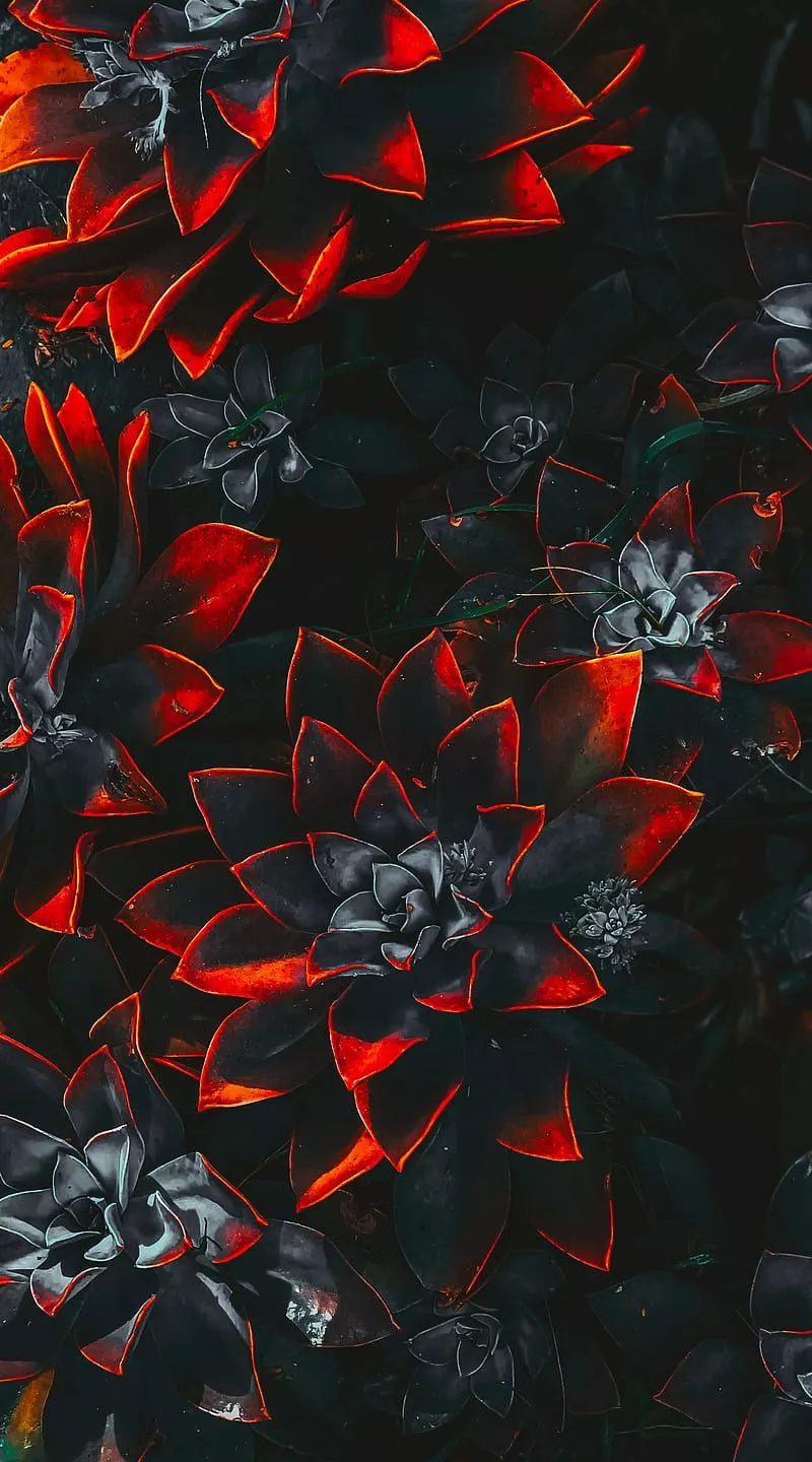 HD color grading wallpaper