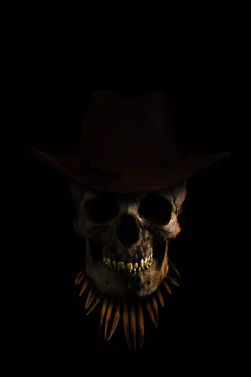 HD cowboy skull wallpaper