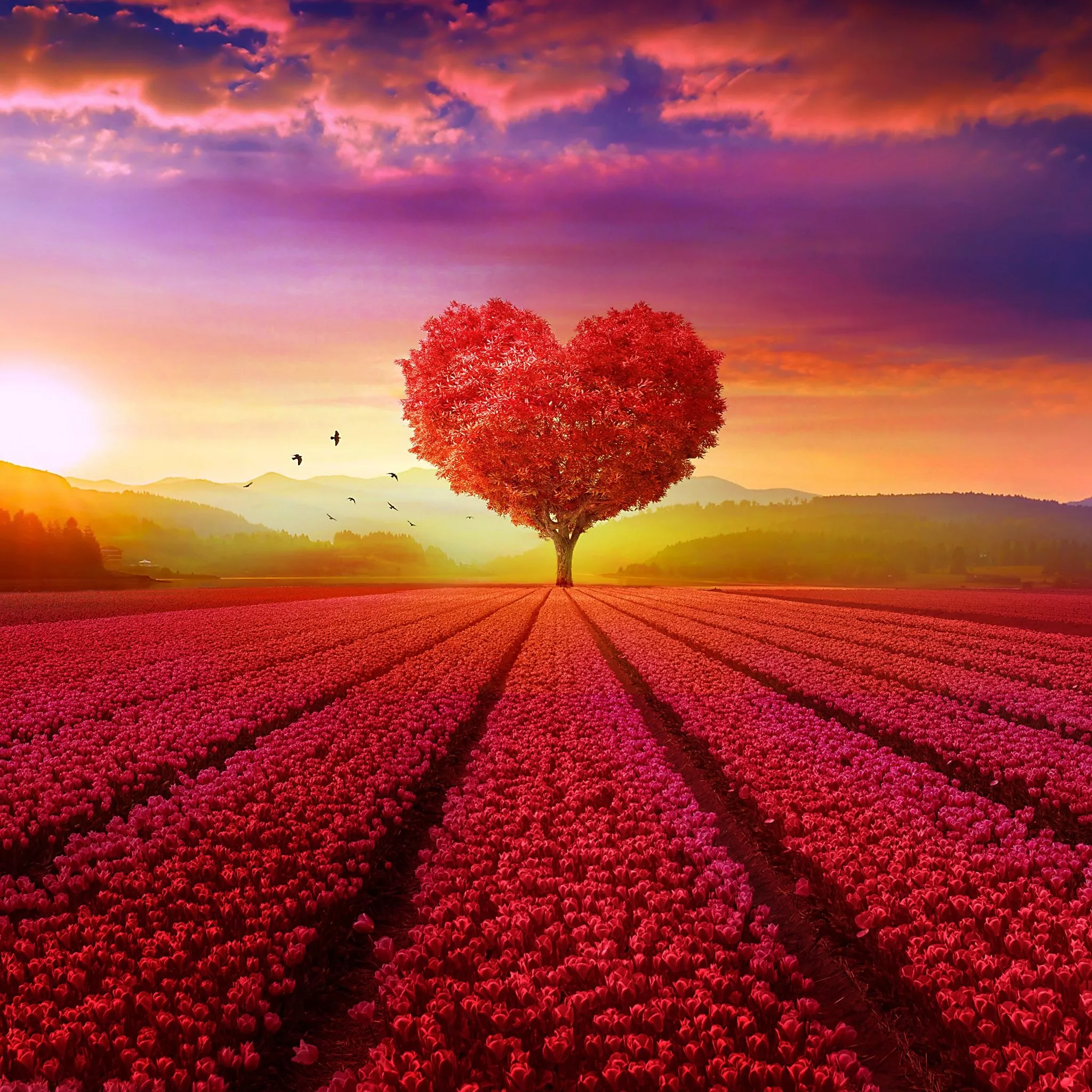 Heart tree Wallpaper 4K, Flower garden