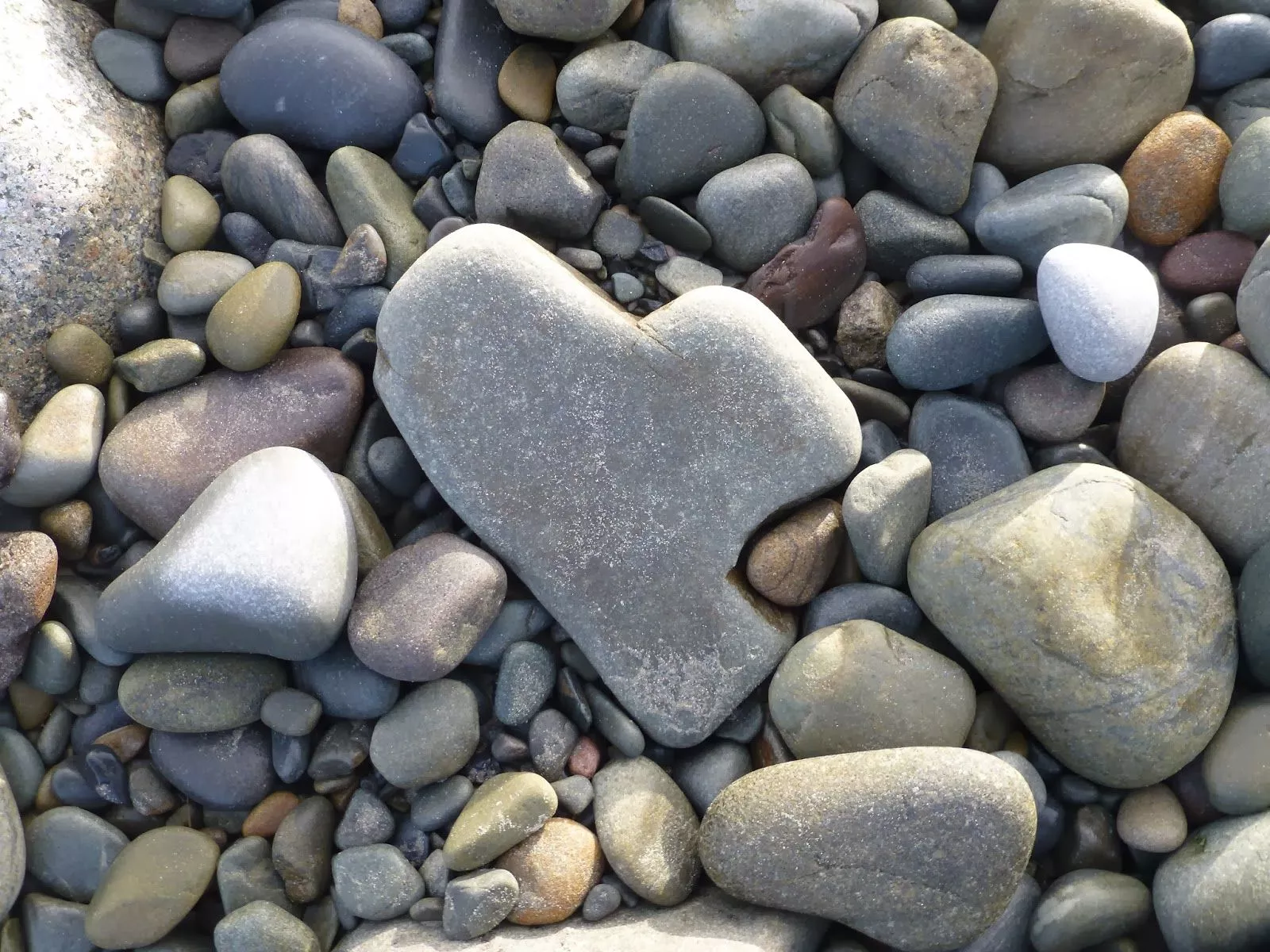 Photos of Natural Heart Shapes