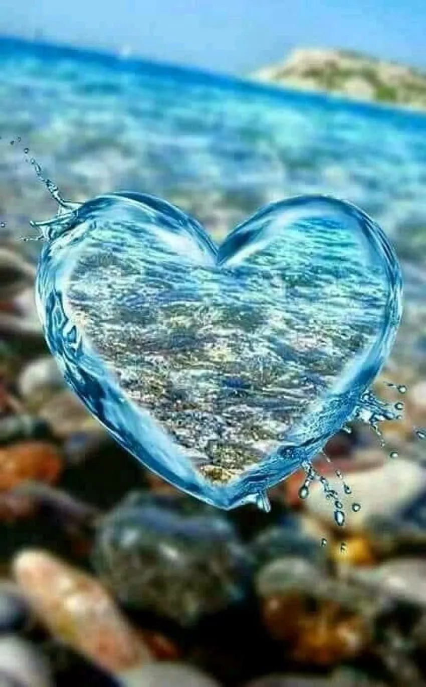 Heart, Nature Heart HD phone wallpaper