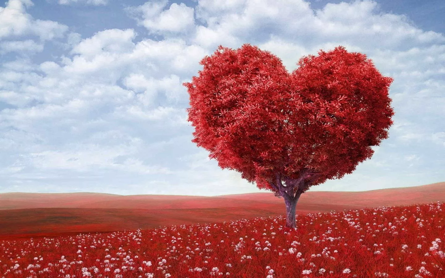Heart Wallpaper