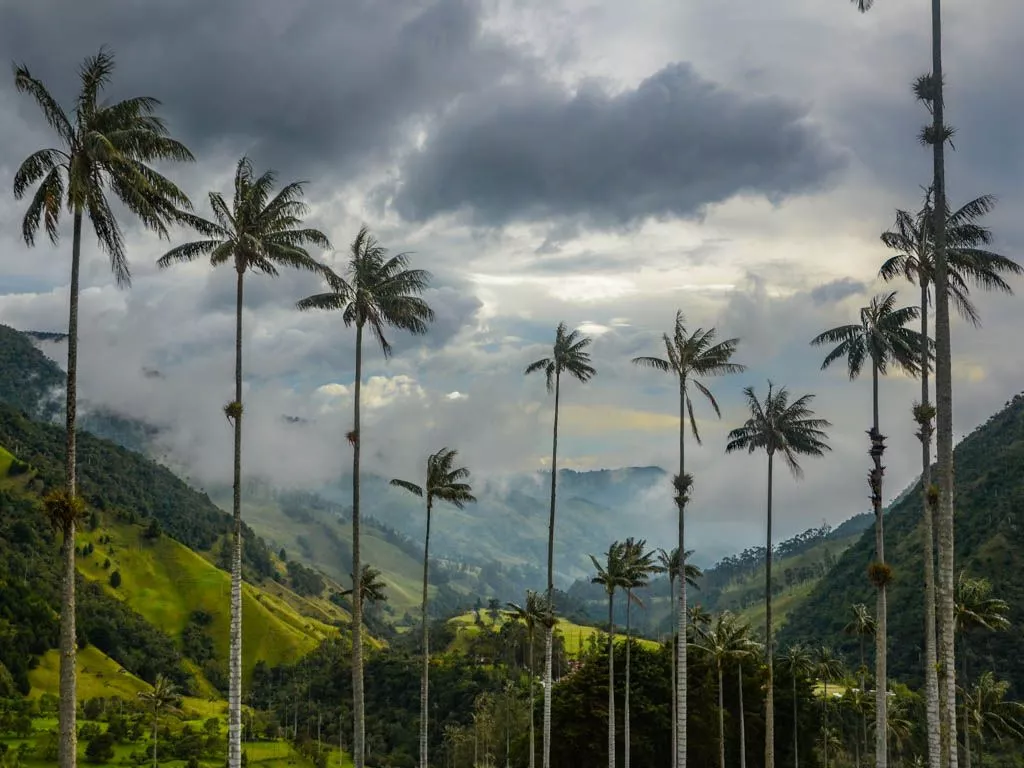 Top things to do in Salento, Colombia