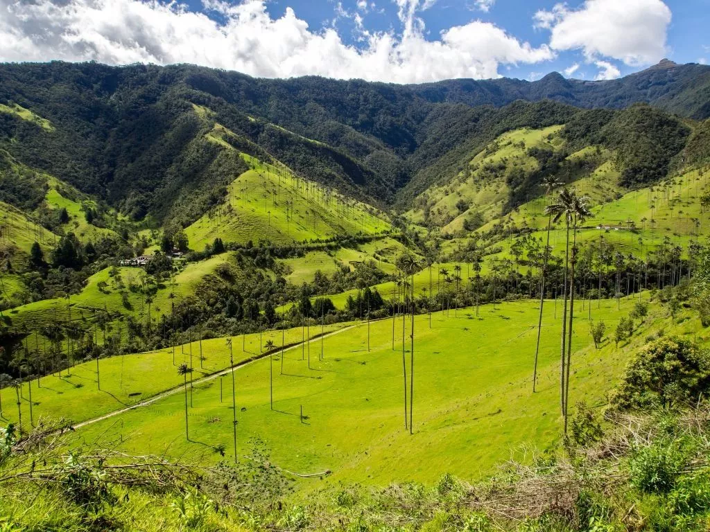 Visit Salento, Colombia: Expert Travel